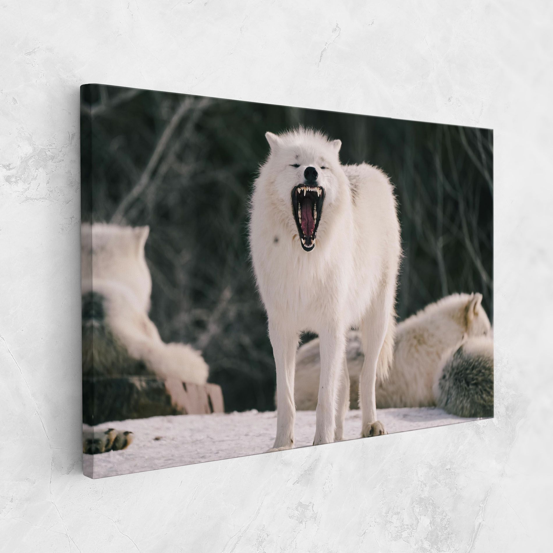 Laughing White Wolf mockup 1