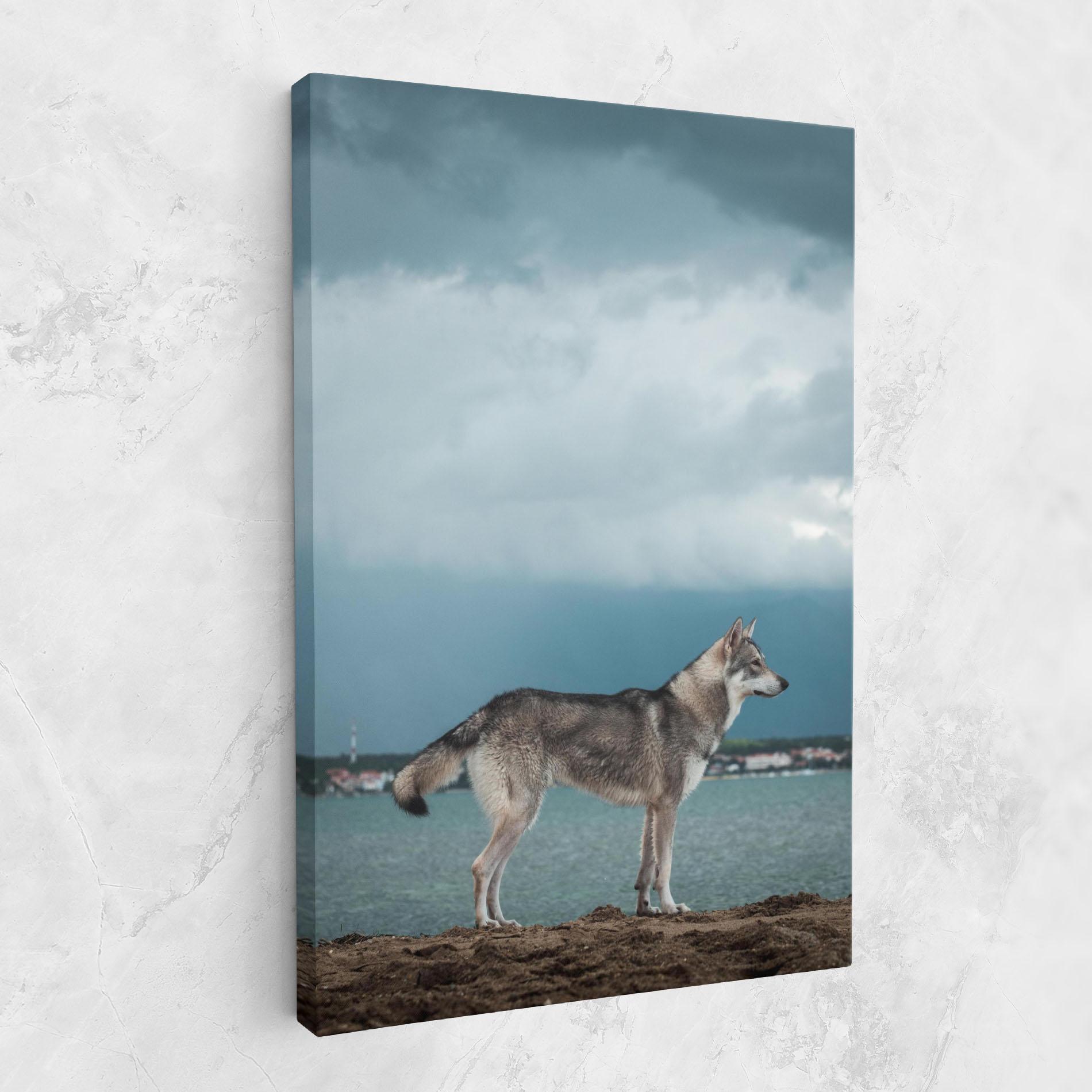 Картина на платно Grey Wolf Looking mockup 1
