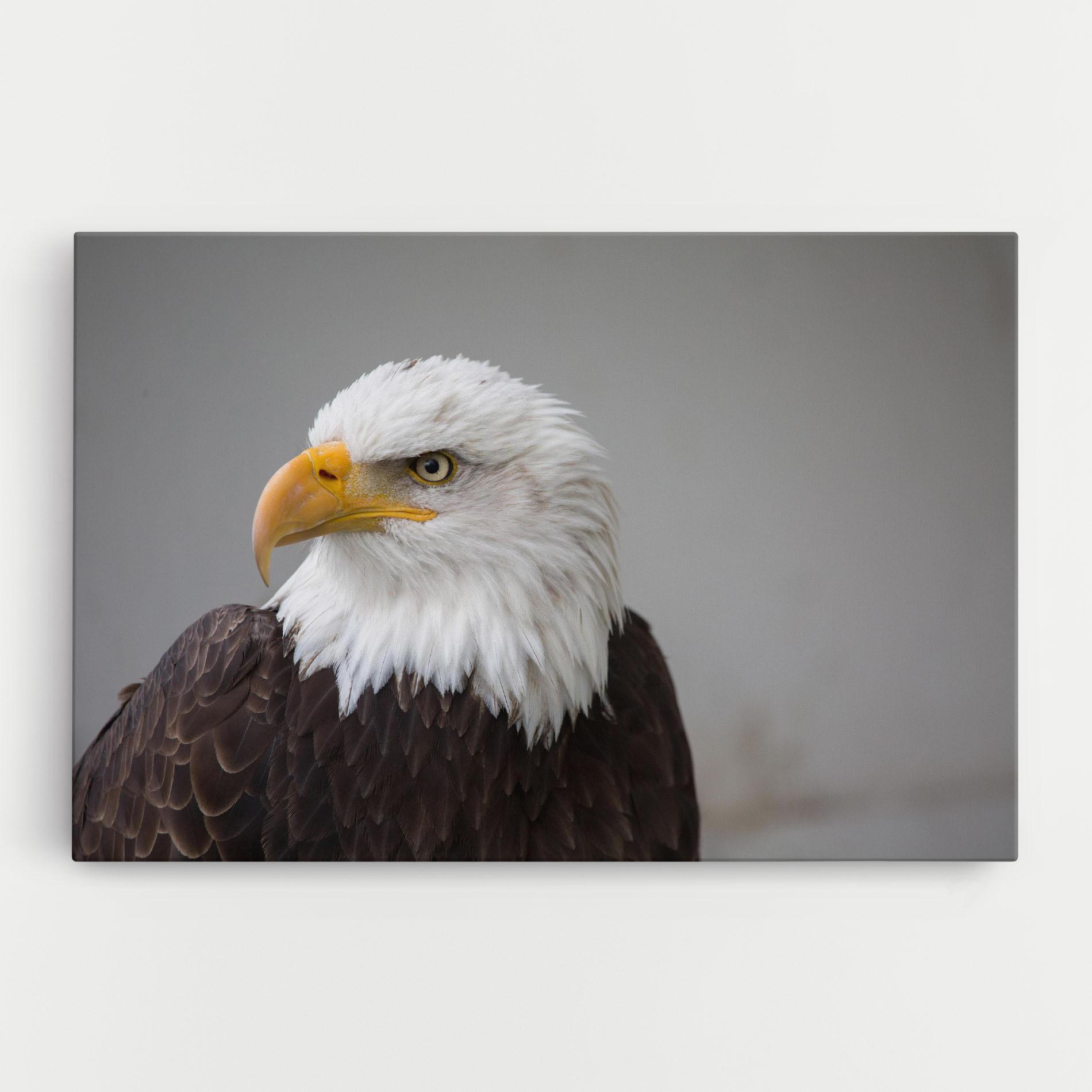 Картина на платно Beautiful Eagle mockup 0