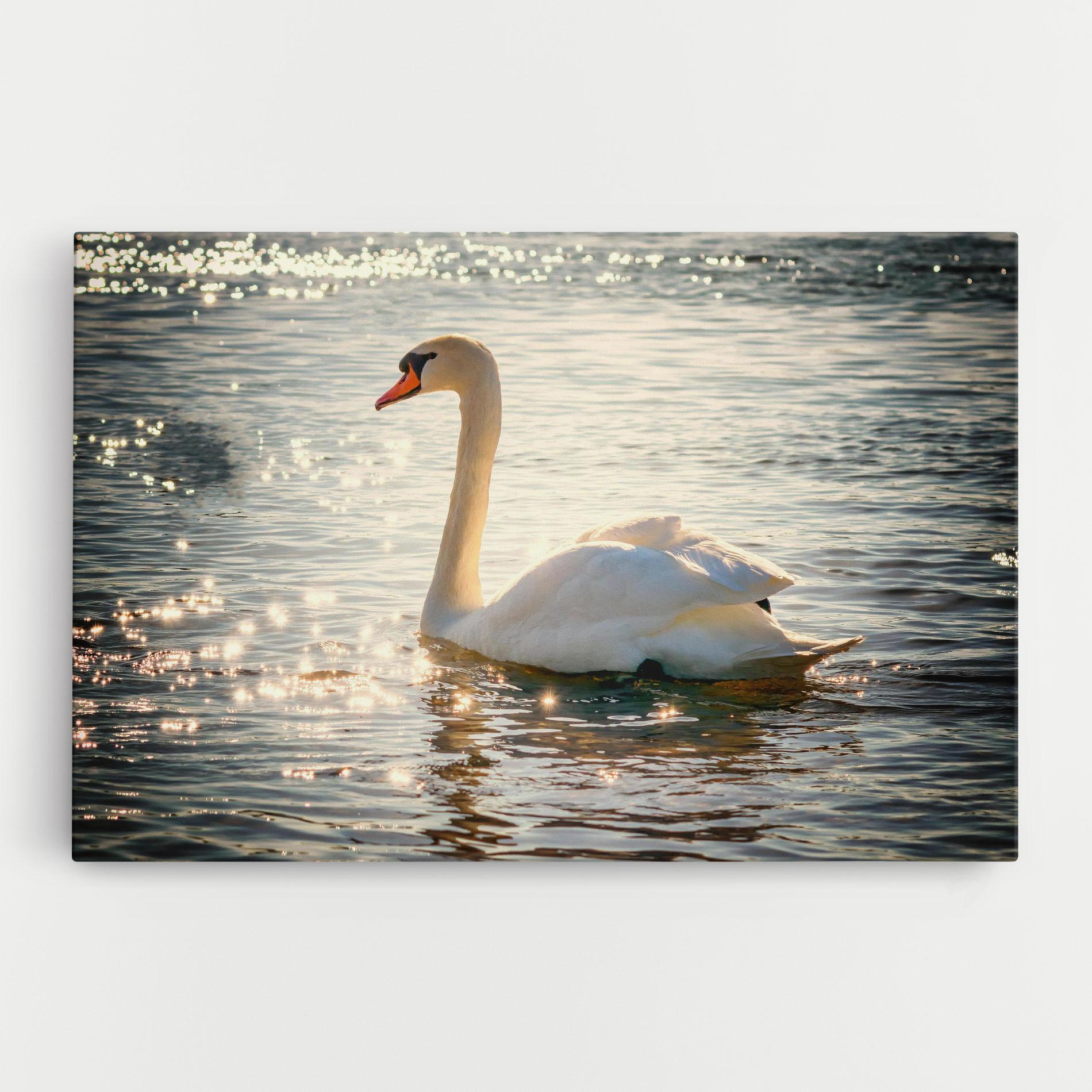 Картина на платно Swan On Lake mockup 0