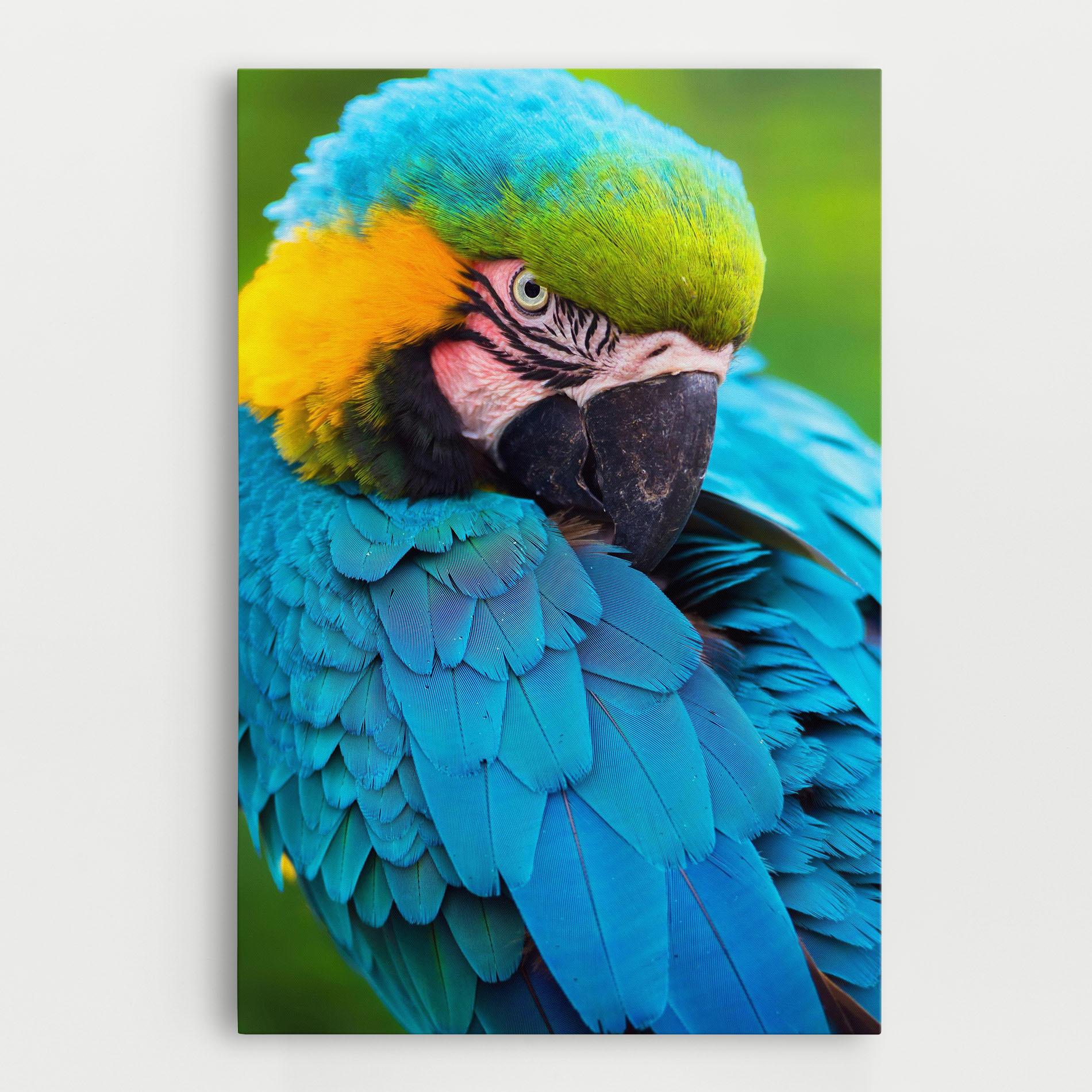 Картина на платно Blue Parrot mockup 0