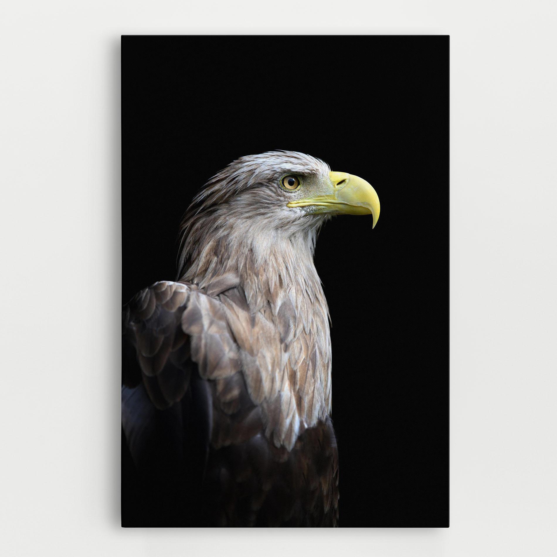 Картина на платно Close Up Eagle mockup 0