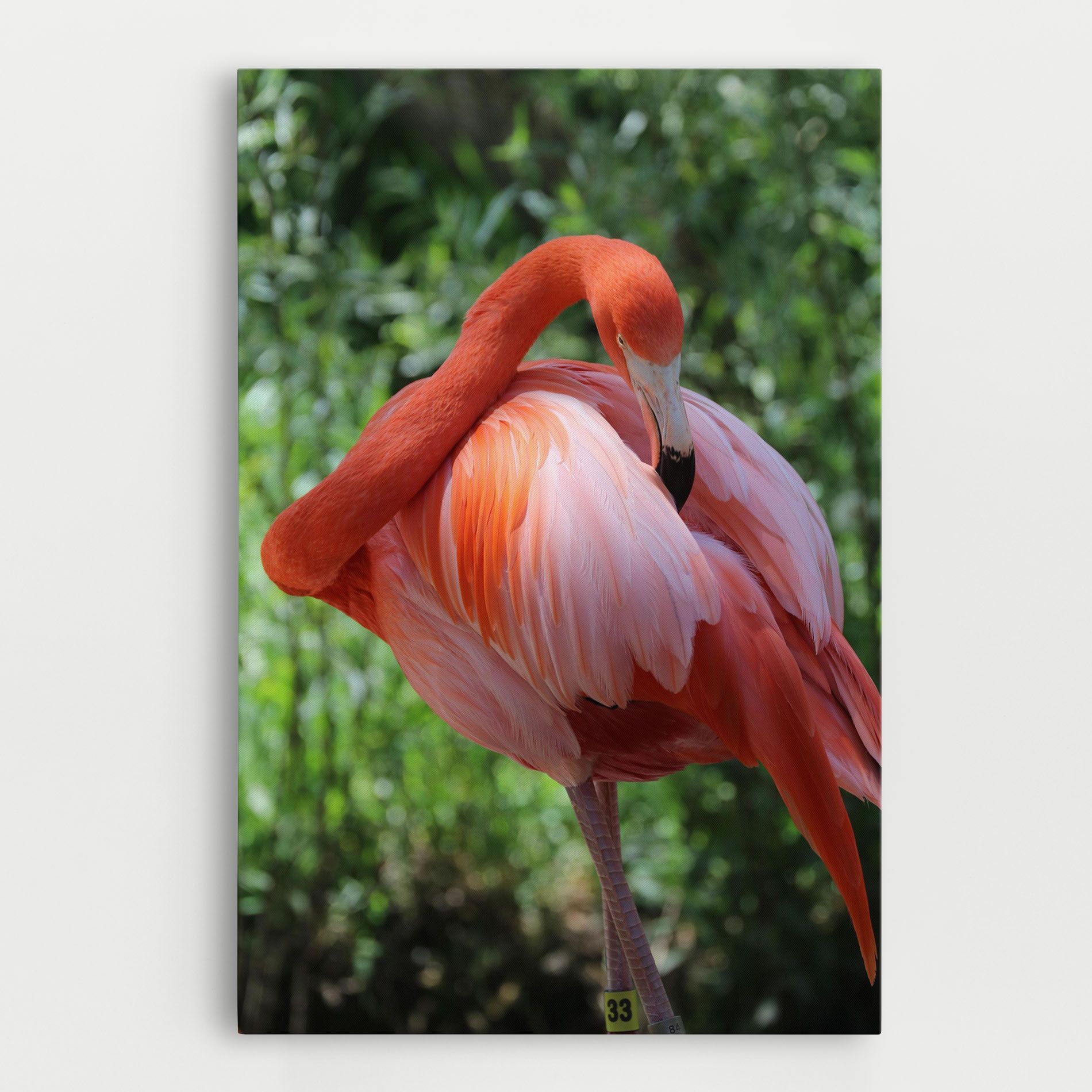 Red Flamingo mockup 0
