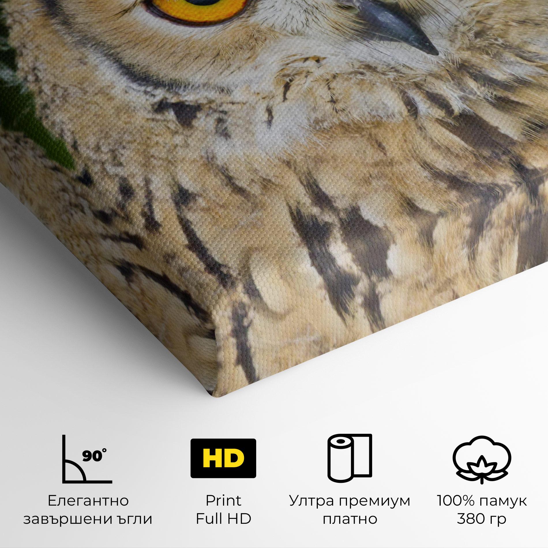 Картина на платно Angry Owl mockup 4