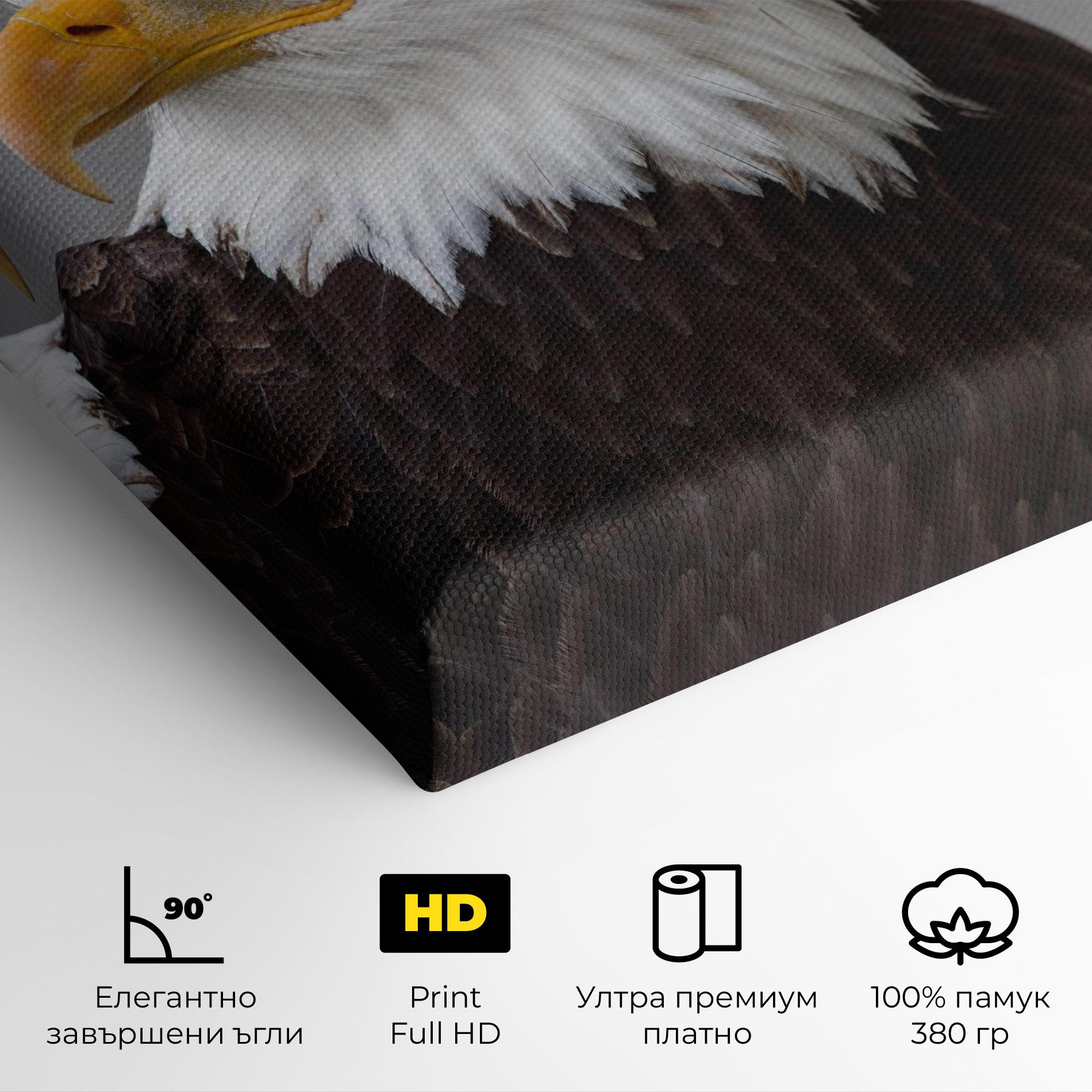 Картина на платно Beautiful Eagle mockup 4