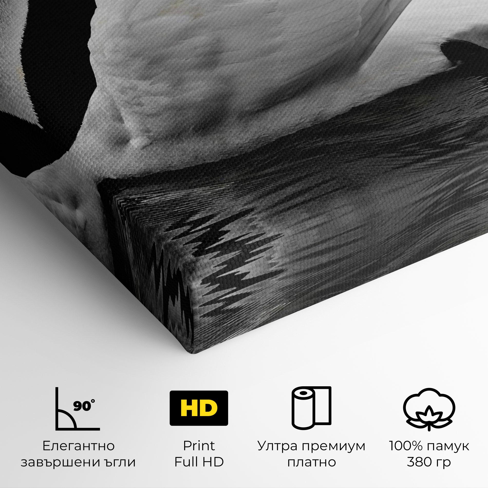 Картина на платно Black And White Swan mockup 4