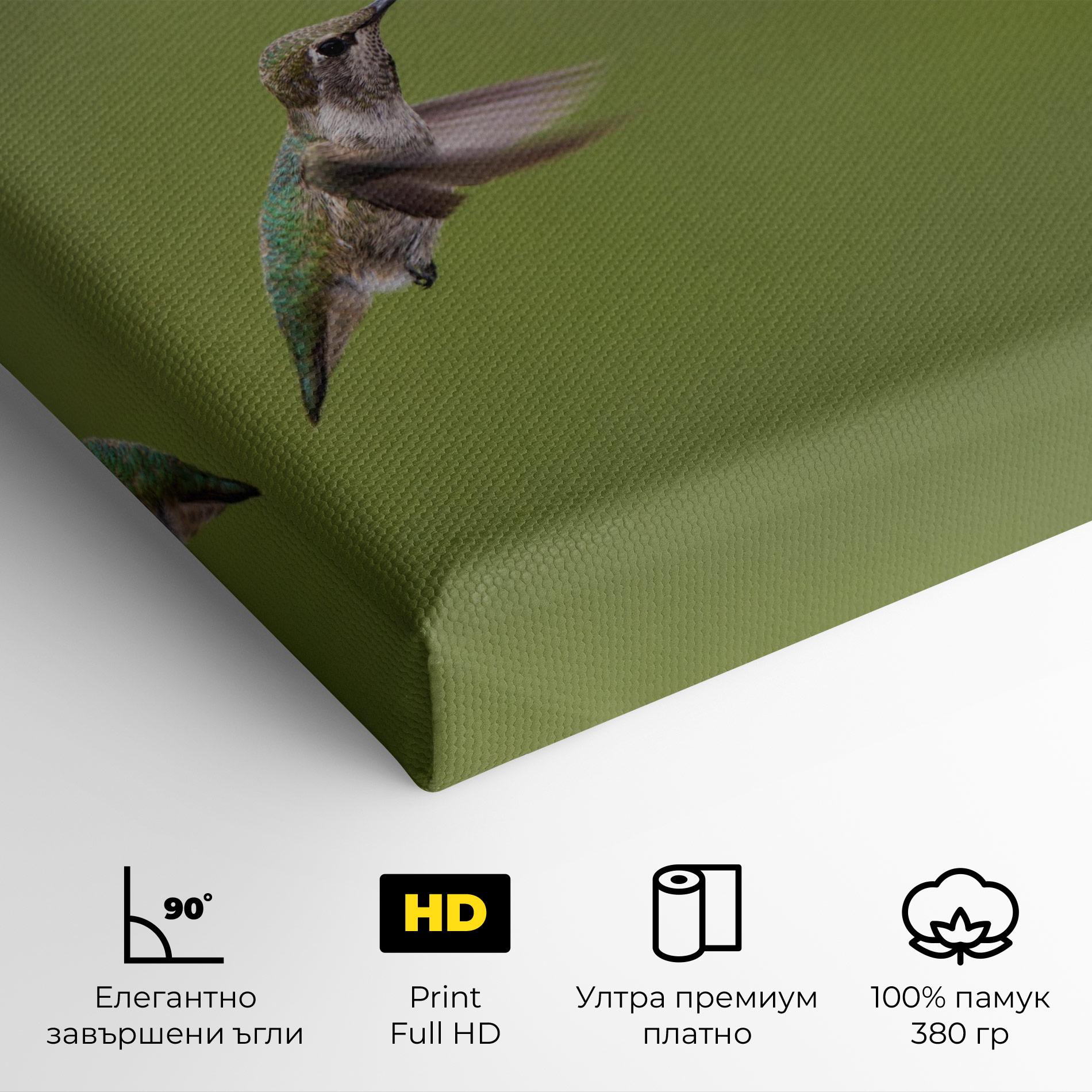 Картина на платно Cute Hummingbird mockup 4