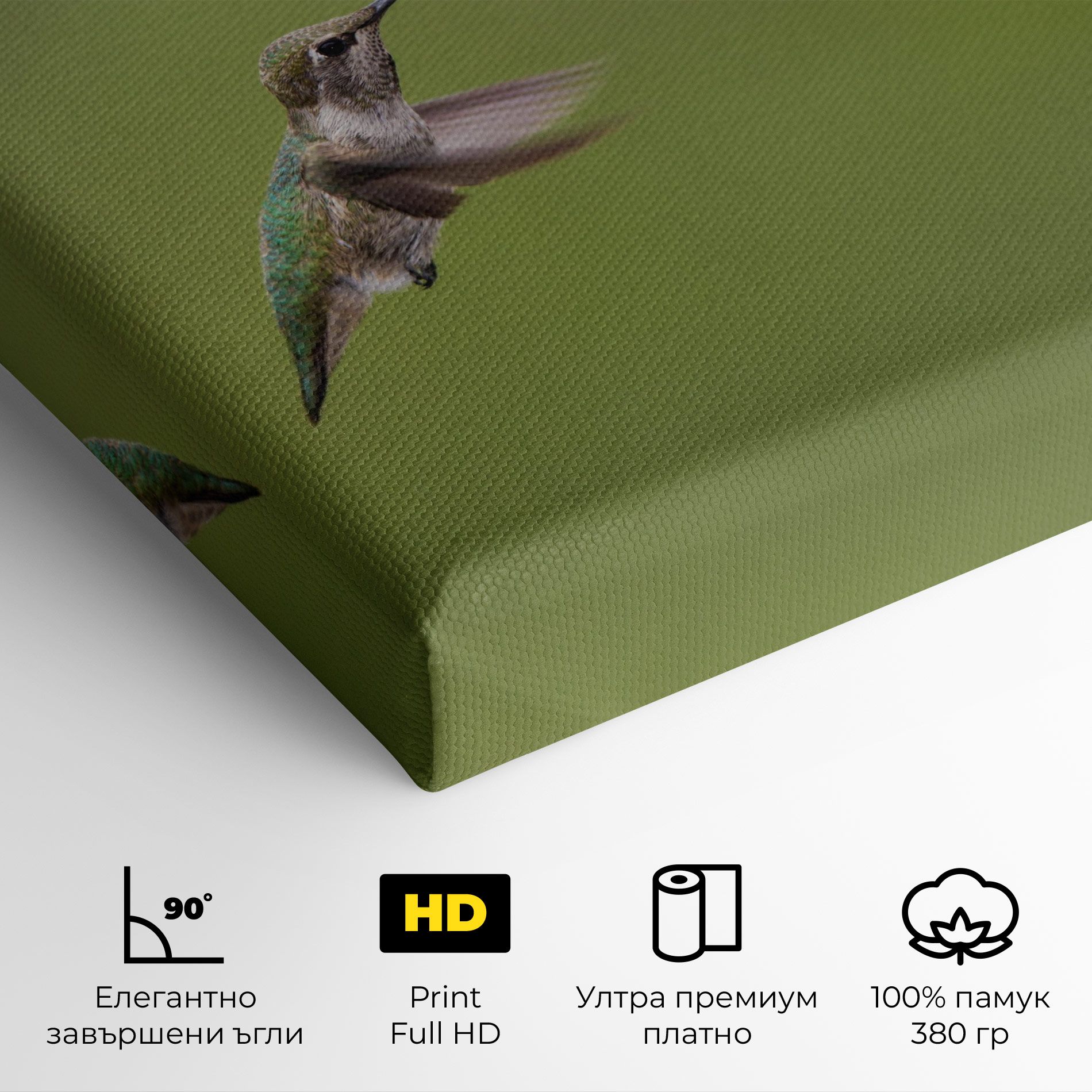 Cute Hummingbird mockup 4