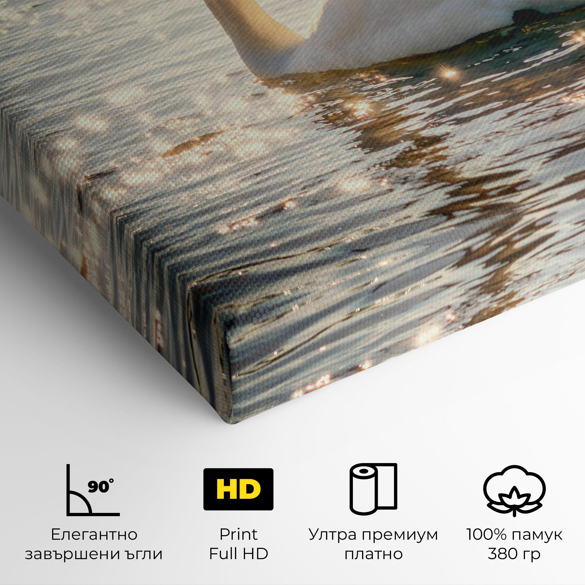 Картина на платно Swan On Lake mockup 4