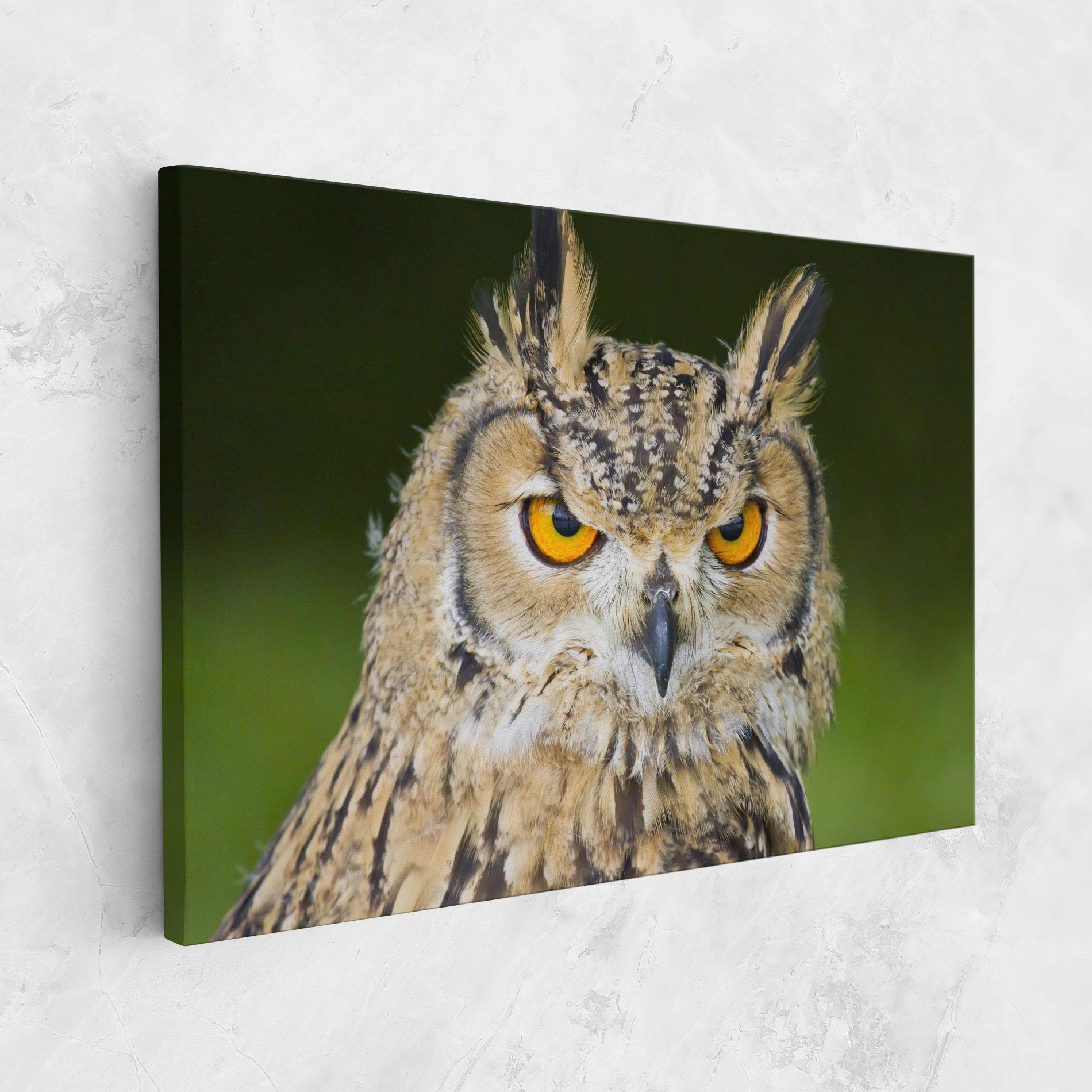 Картина на платно Angry Owl mockup 1