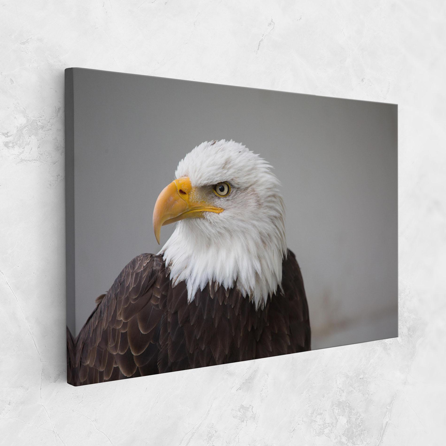 Картина на платно Beautiful Eagle mockup 1