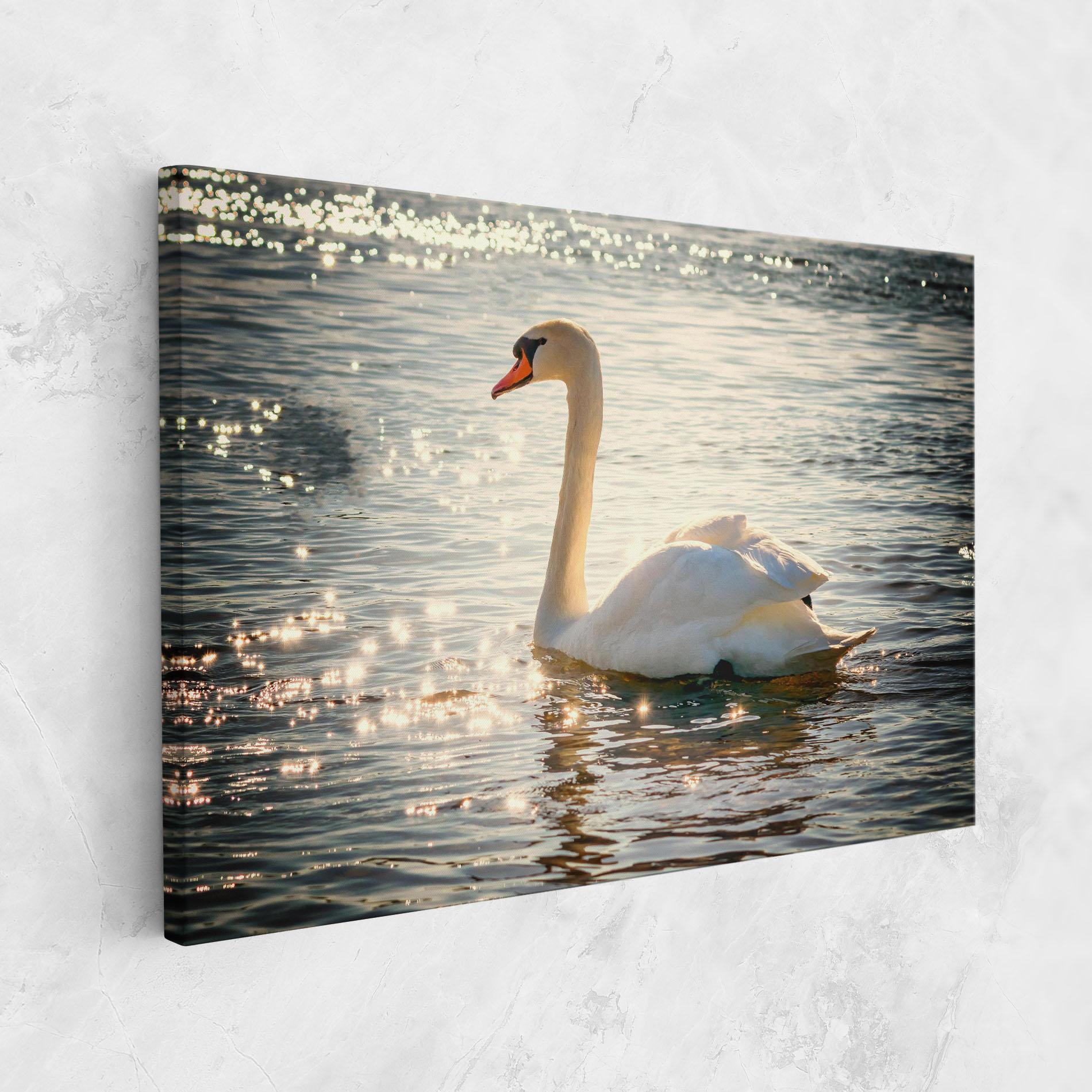 Картина на платно Swan On Lake mockup 1