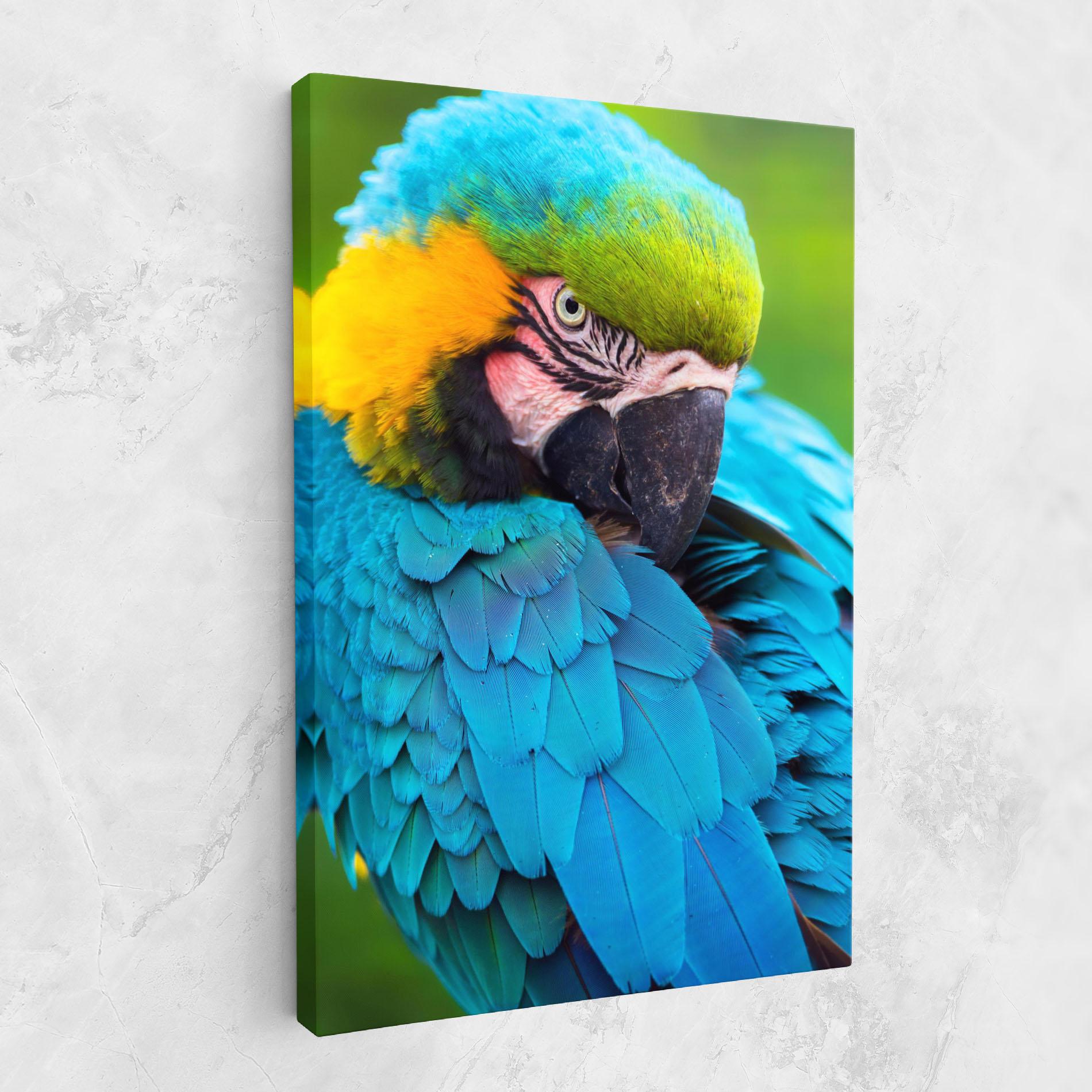 Картина на платно Blue Parrot mockup 1