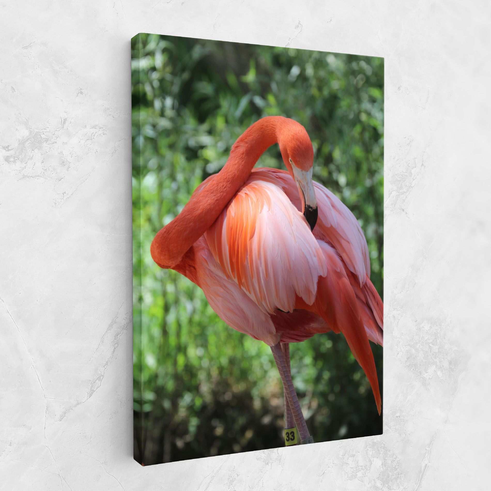 Red Flamingo mockup 1