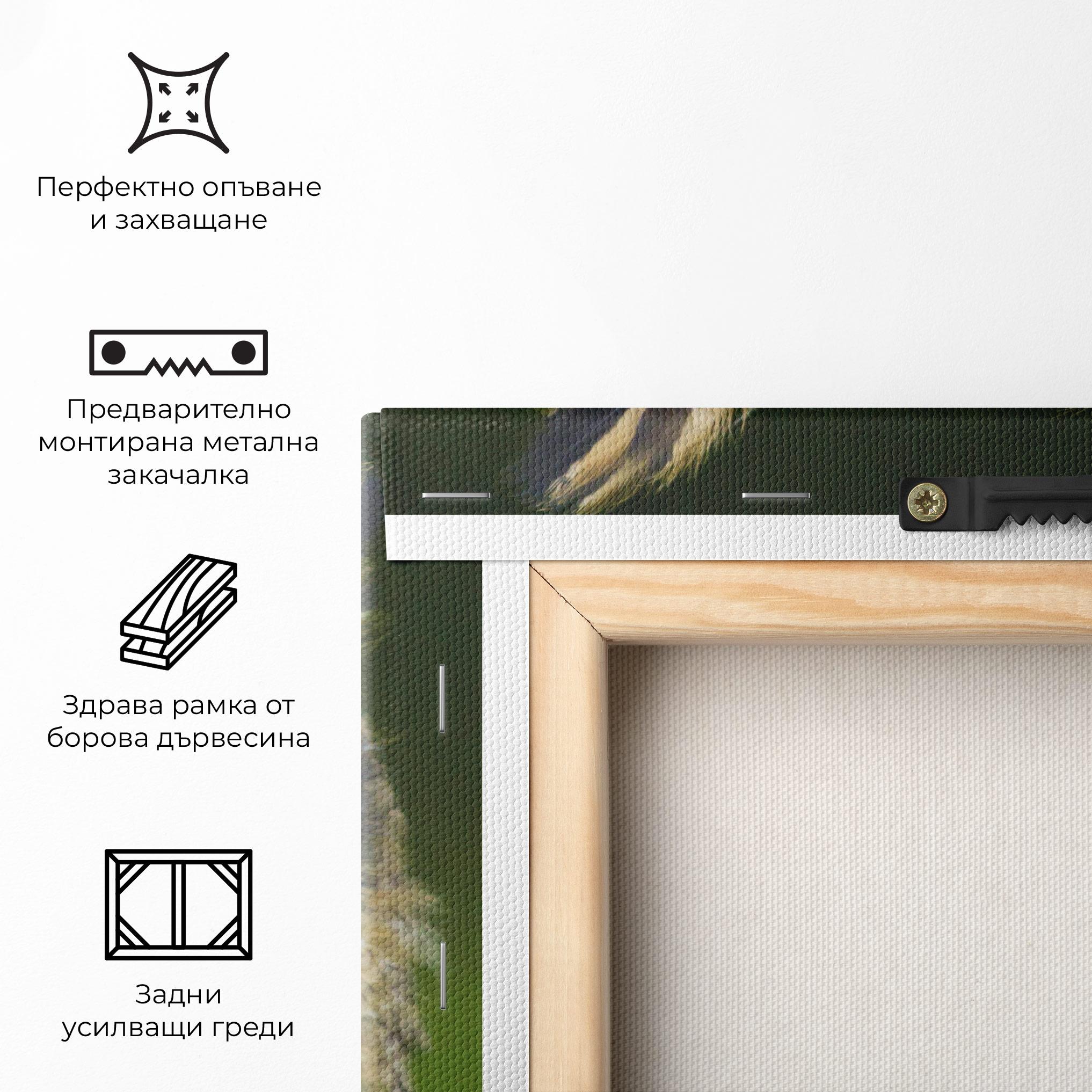 Картина на платно Angry Owl mockup 5