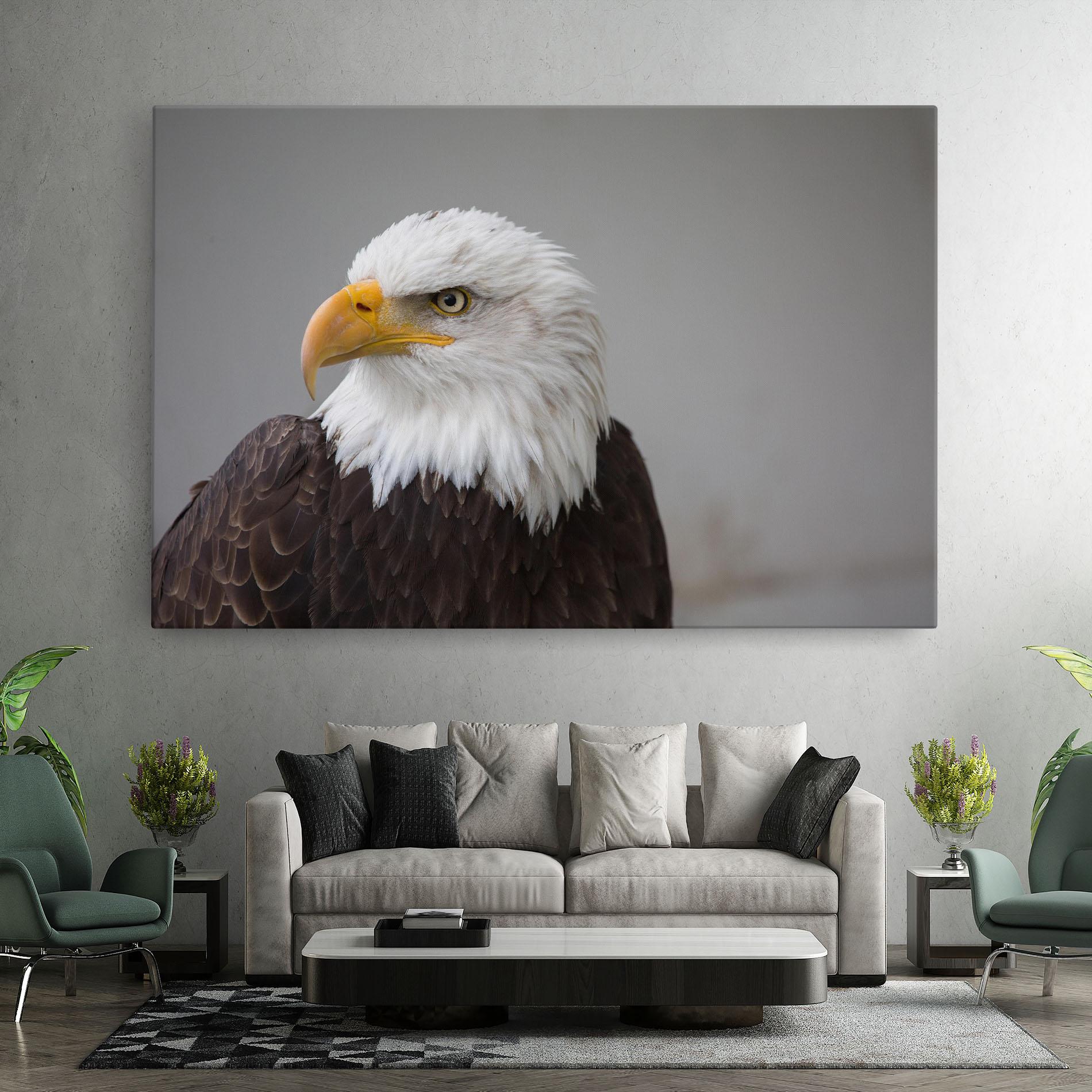Картина на платно Beautiful Eagle mockup 7