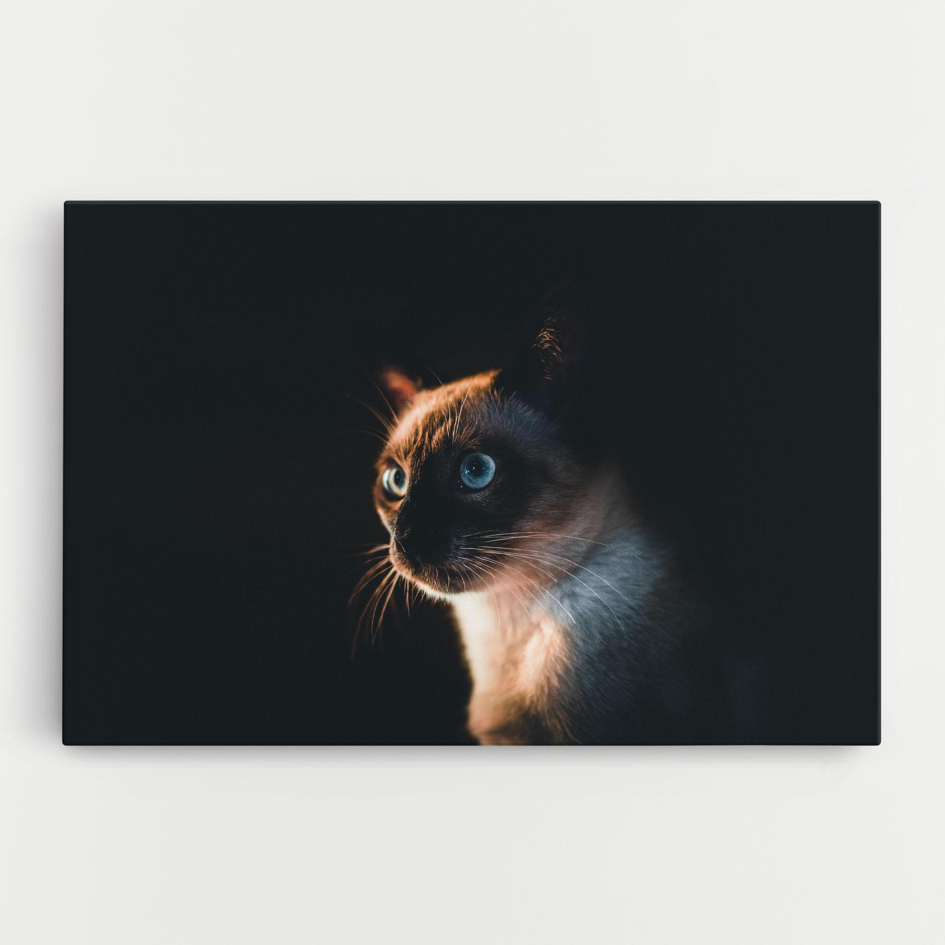 Картина на платно Blue Eyes Cat In Dark mockup 0