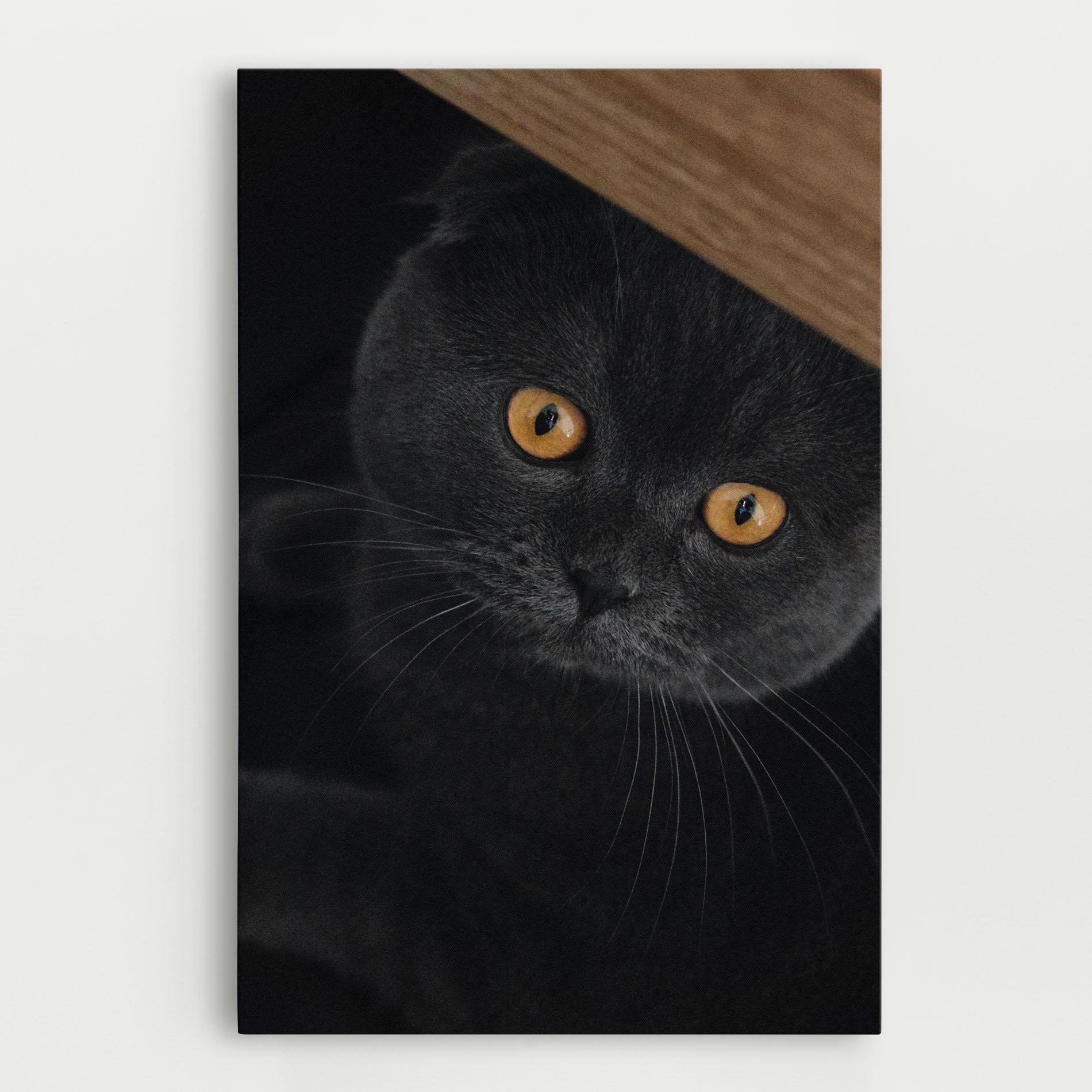 Картина на платно Grey Cat With Orange Eyes mockup 0