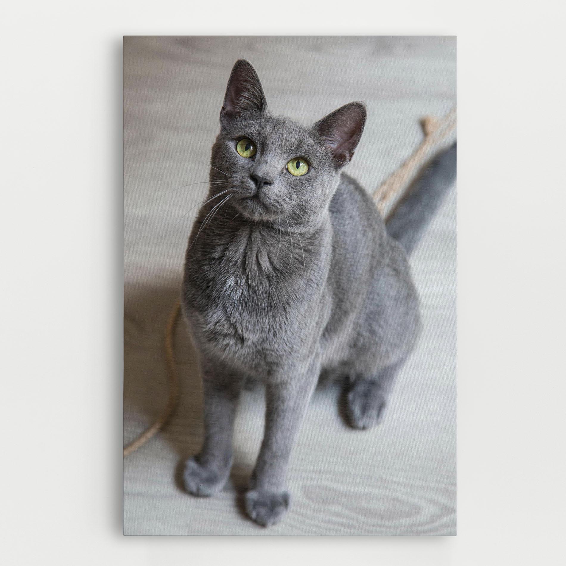 Картина на платно Grey Green Cat Eyes mockup 0