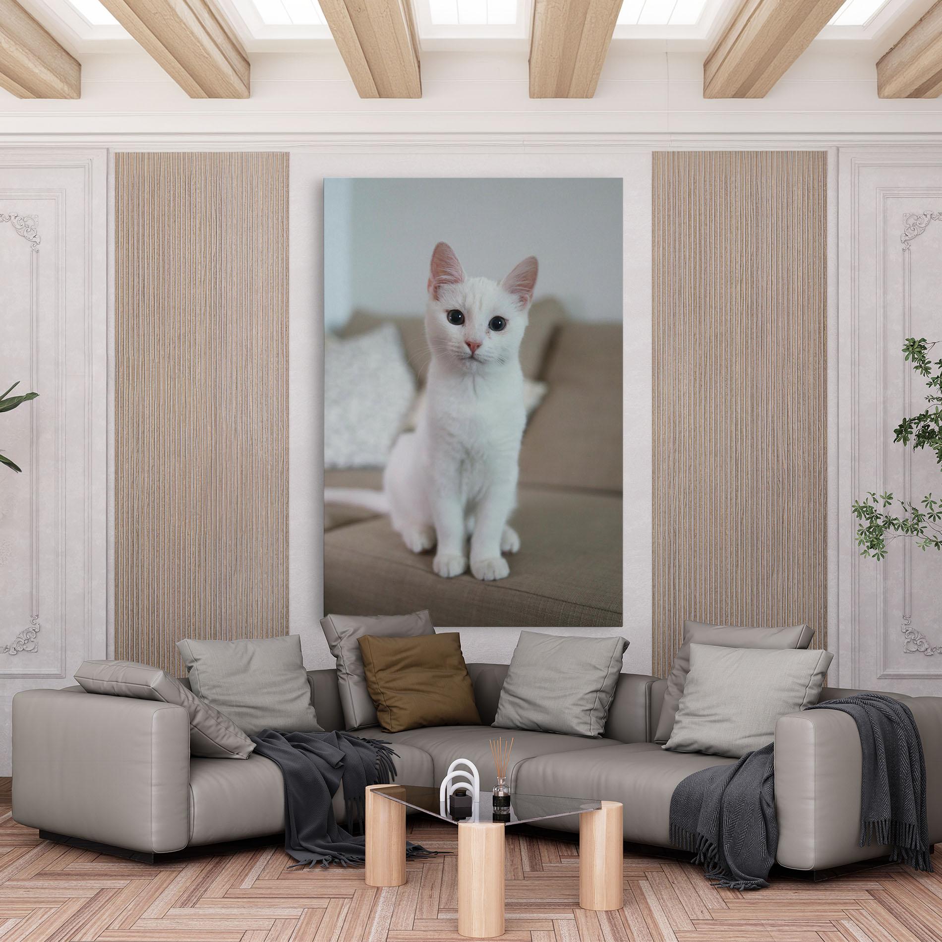 Картина на платно Beautiful White Cat mockup 6
