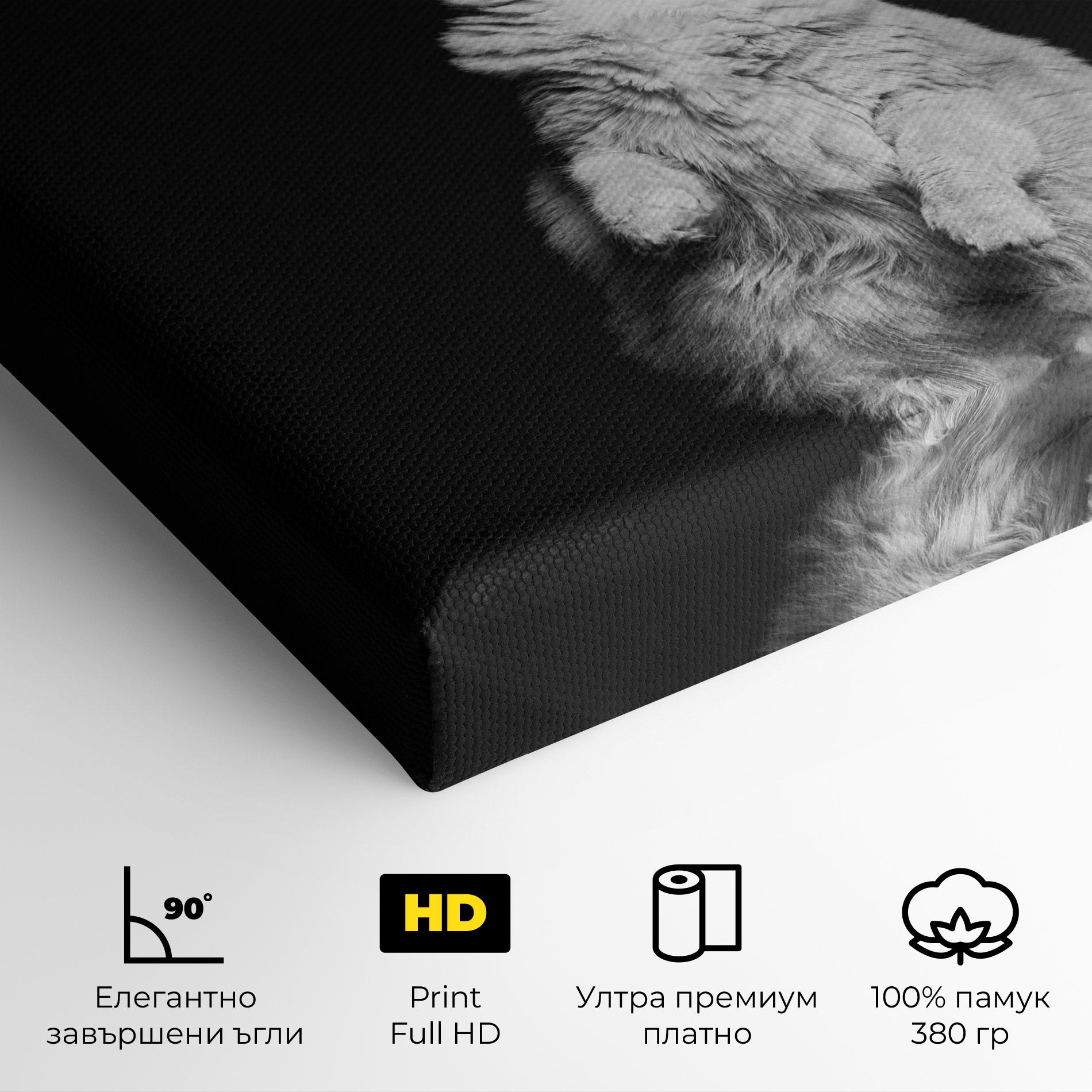 Картина на платно Big Fluffy Cat mockup 4