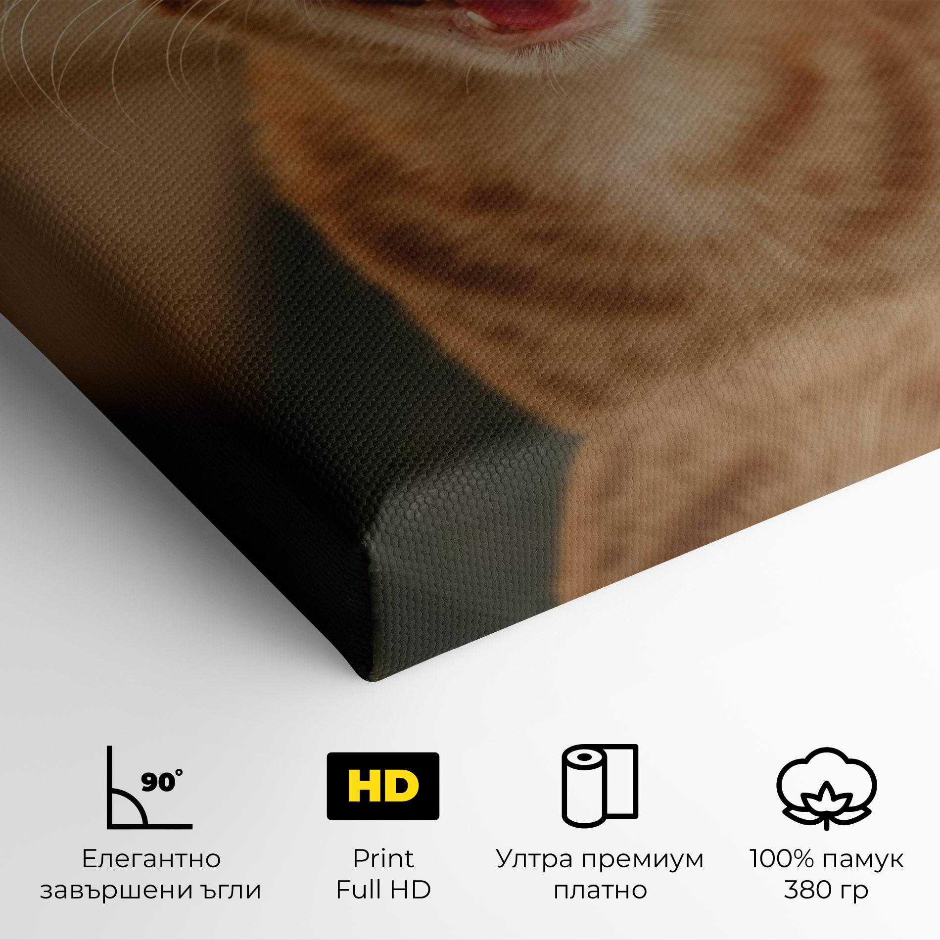 Картина на платно Orange Cat Smiling mockup 4