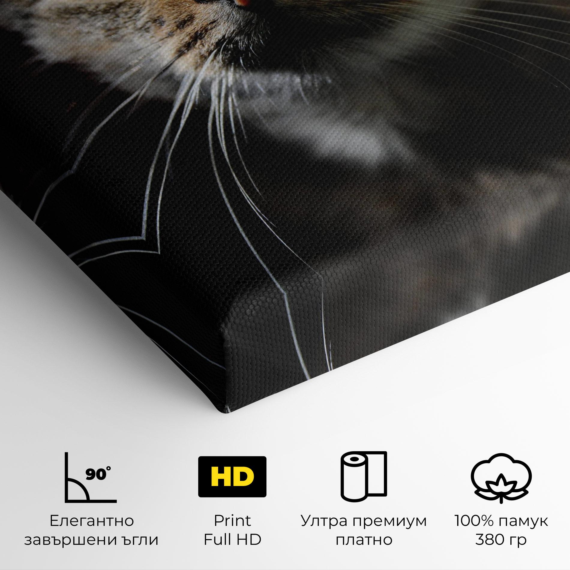 Картина на платно Playful Cat mockup 4