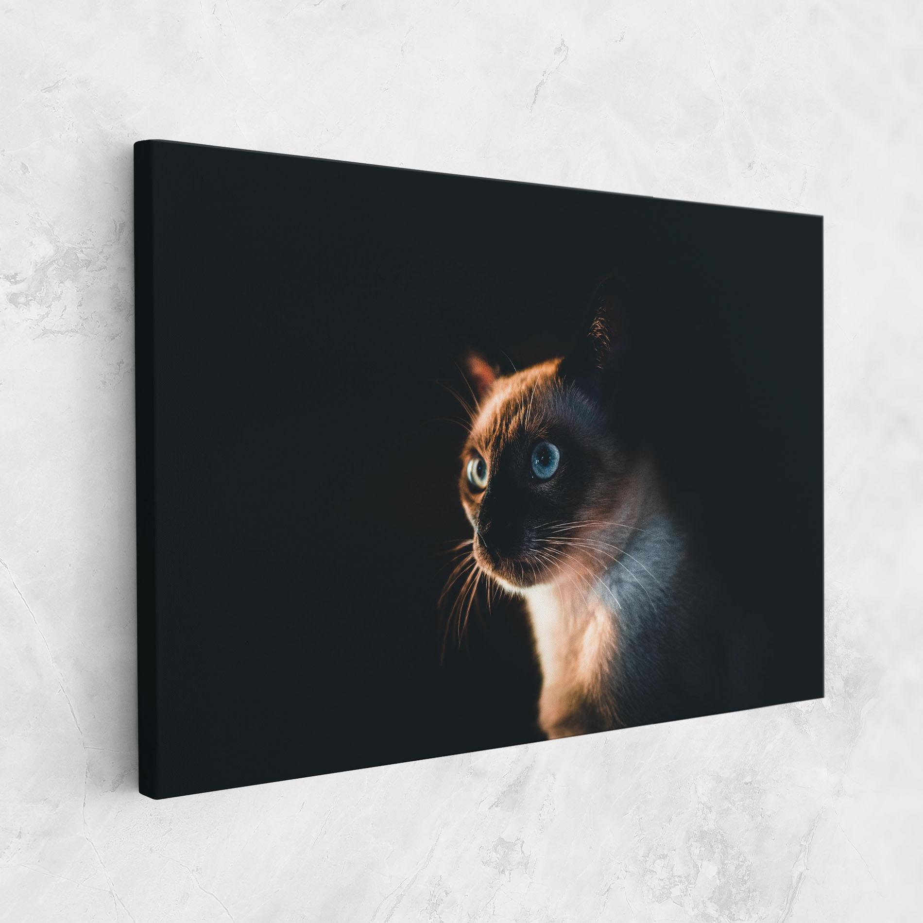 Картина на платно Blue Eyes Cat In Dark mockup 1