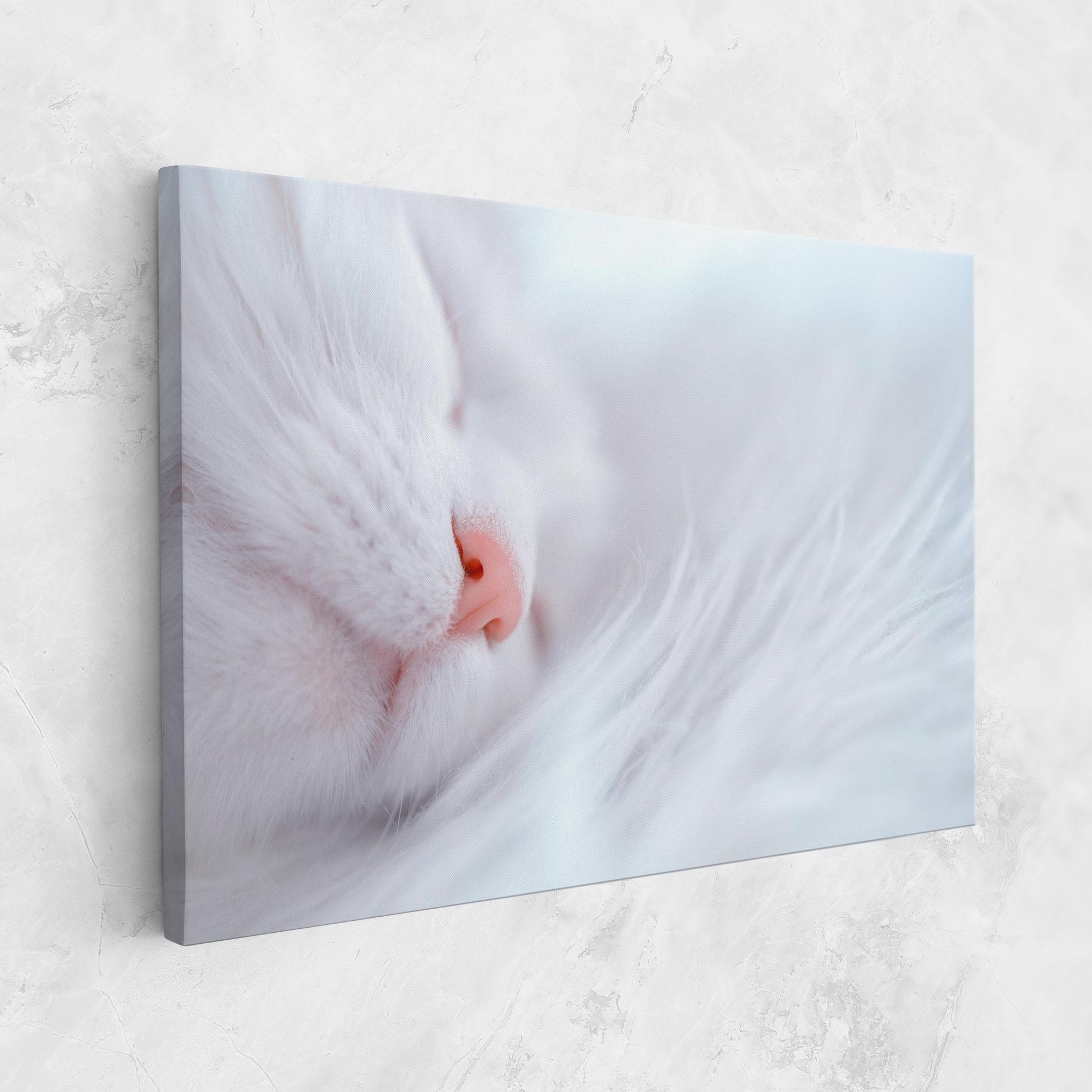Картина на платно Dreamy White Cat mockup 1
