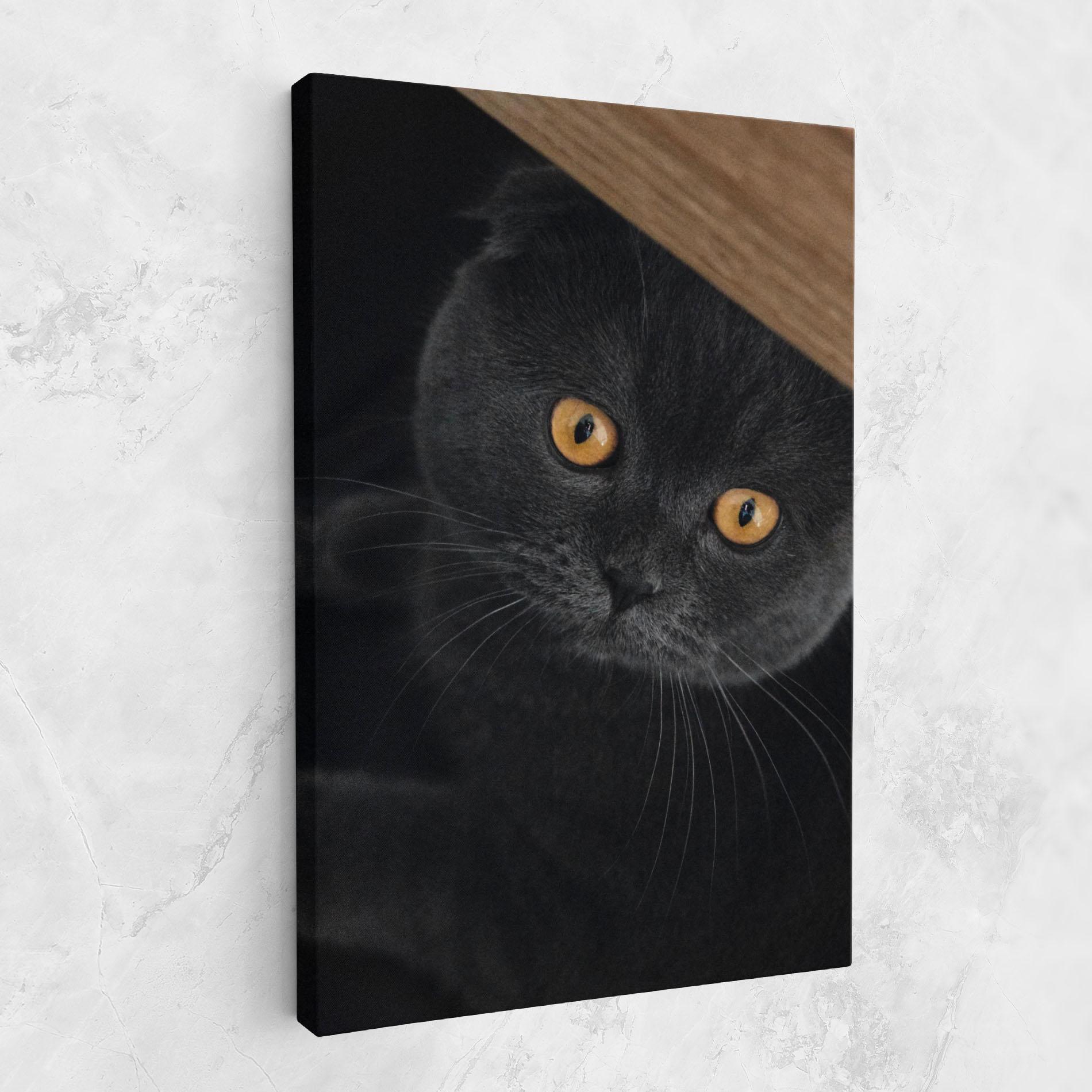 Картина на платно Grey Cat With Orange Eyes mockup 1