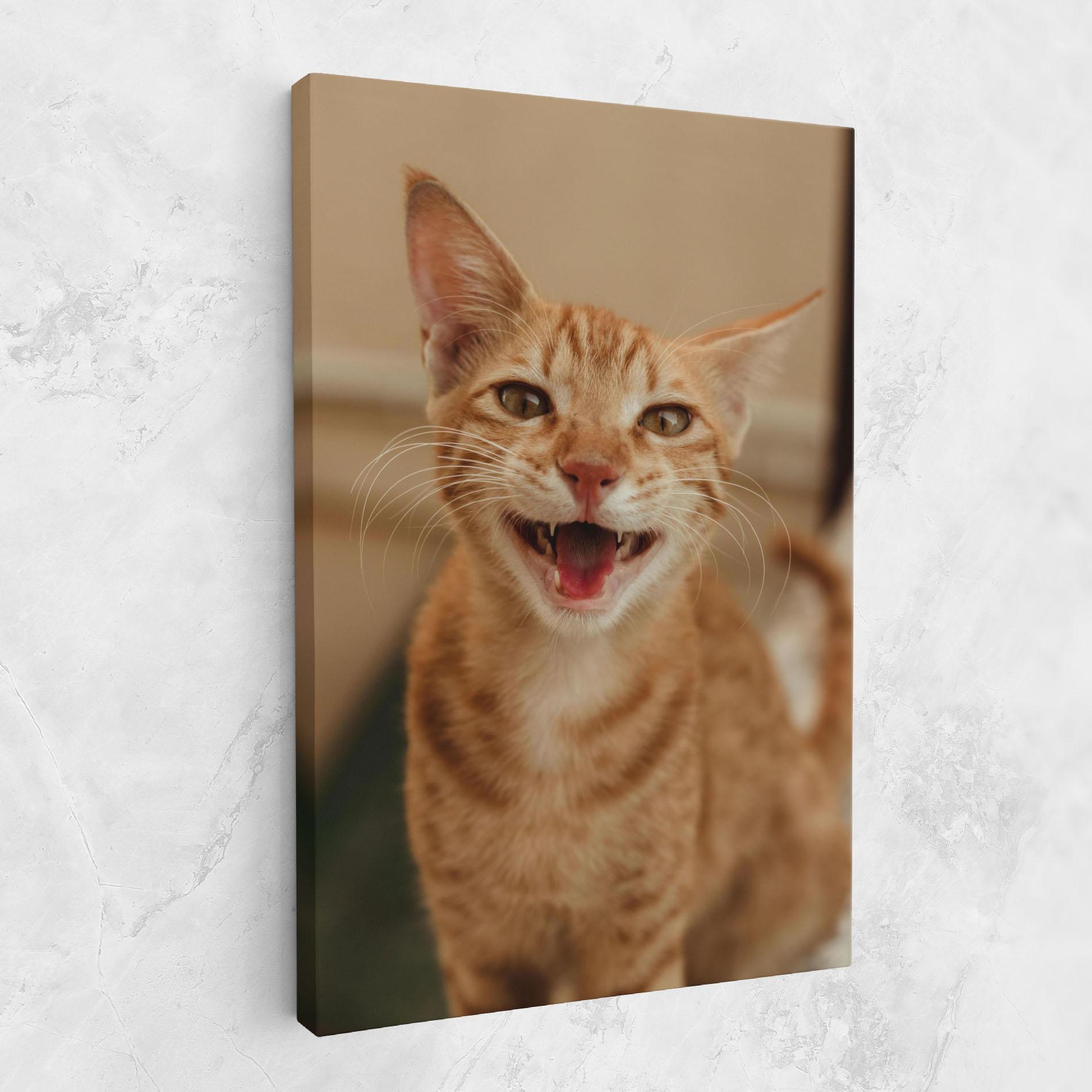 Картина на платно Orange Cat Smiling mockup 1
