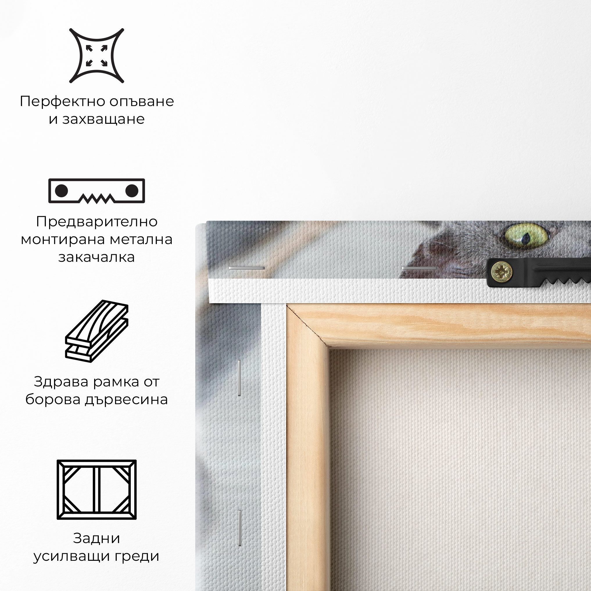 Grey Green Cat Eyes mockup 5