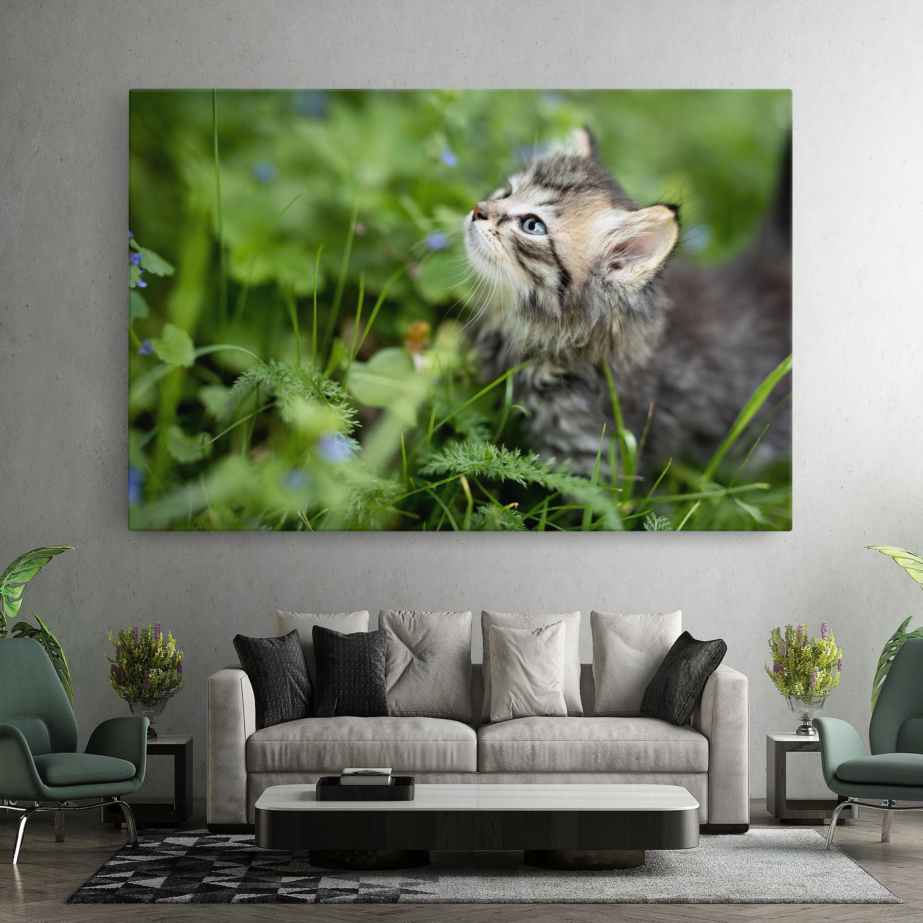 Brown Baby Cat mockup 7