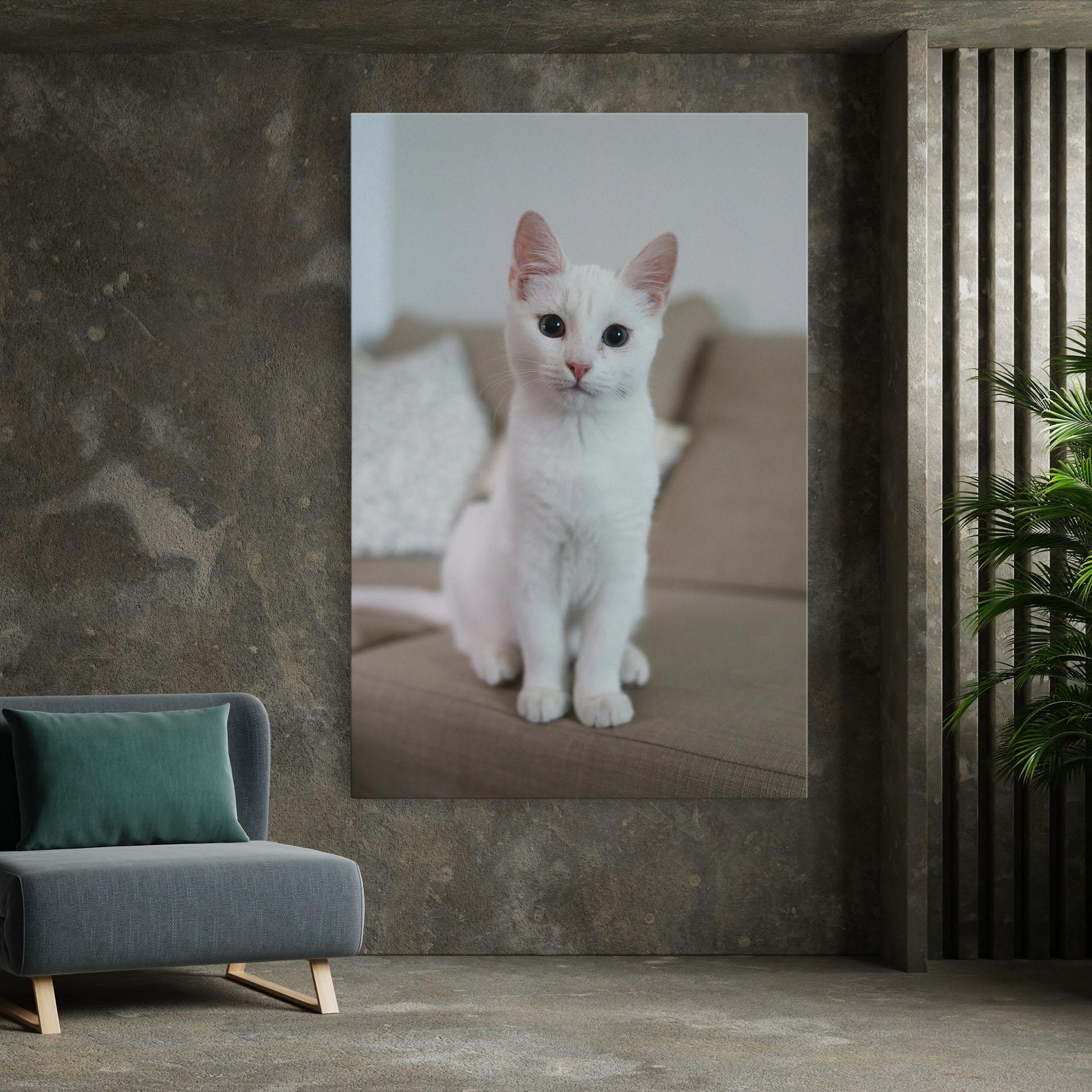 Картина на платно Beautiful White Cat mockup 7
