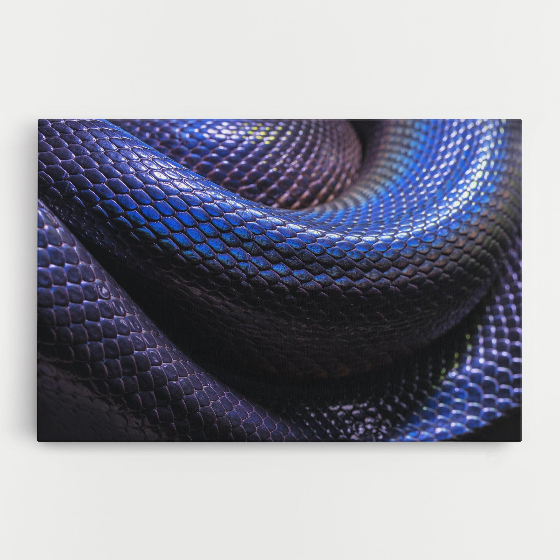 Картина на платно Snake Skin mockup 0