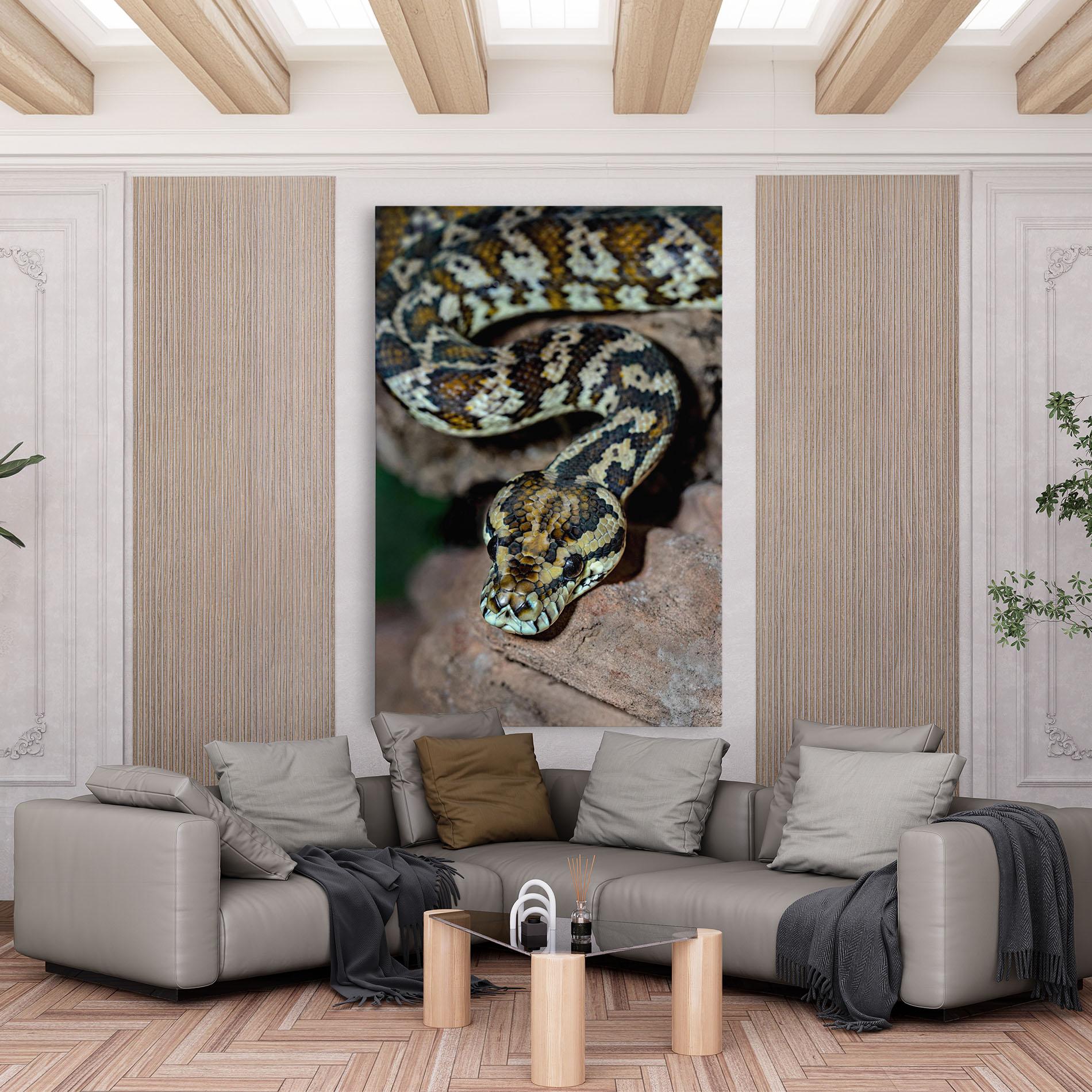 Картина на платно King Snake mockup 6