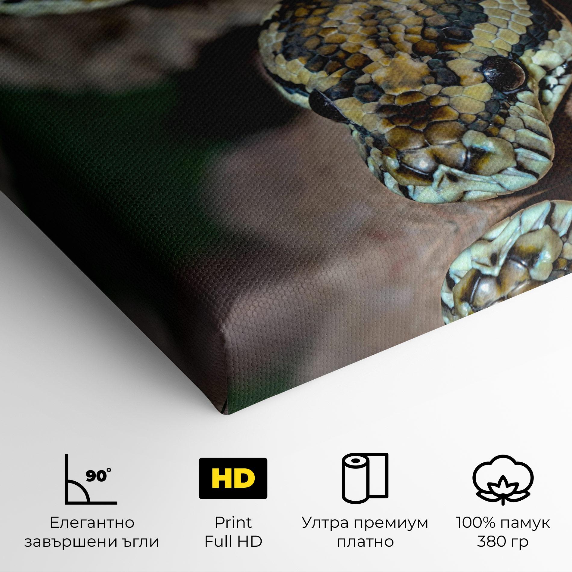 Картина на платно King Snake mockup 4