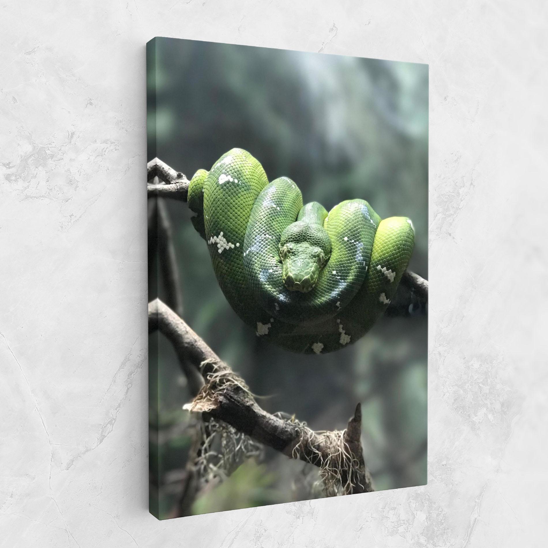 Картина на платно Sleepy Snake mockup 1
