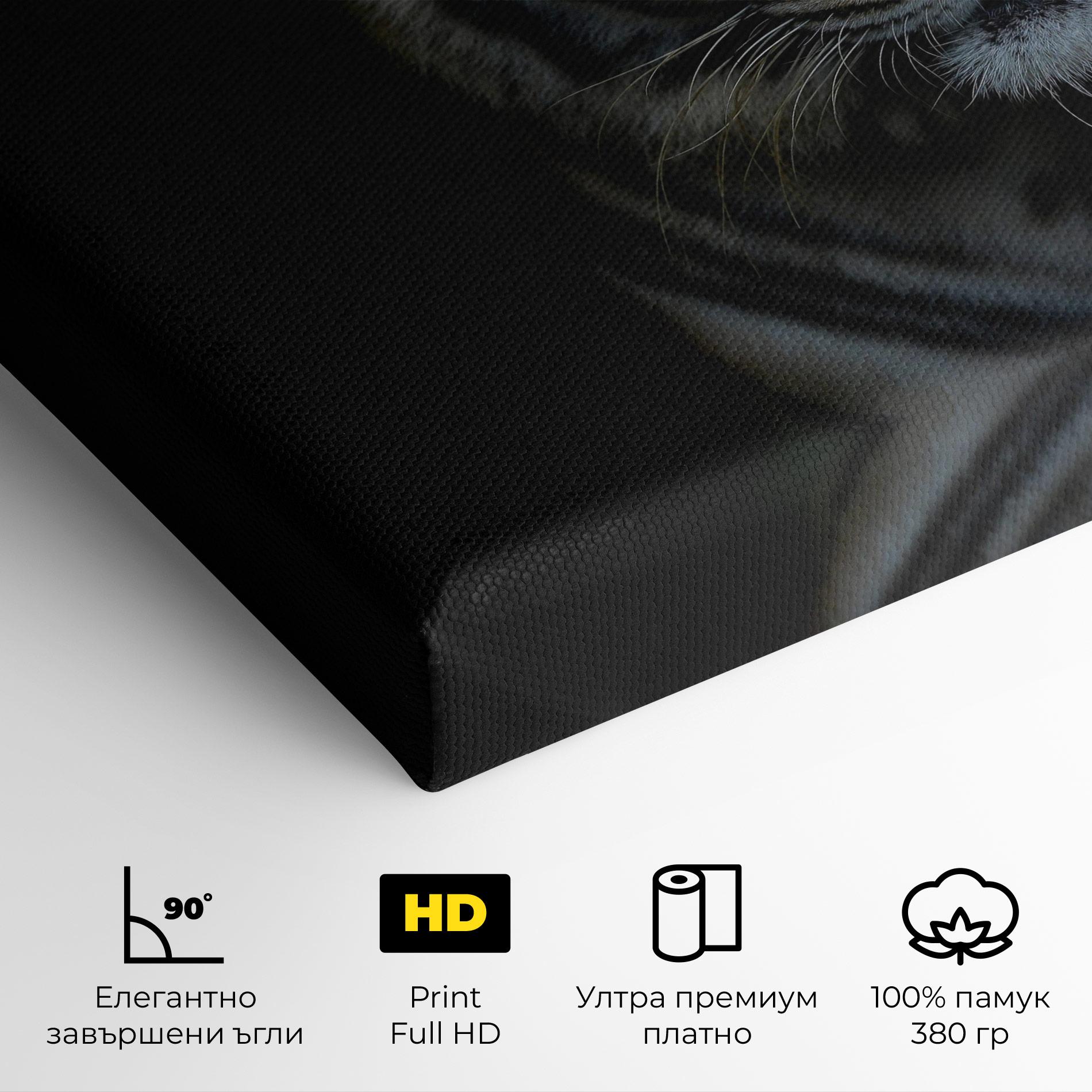 Картина на платно Close Up Tiger mockup 4