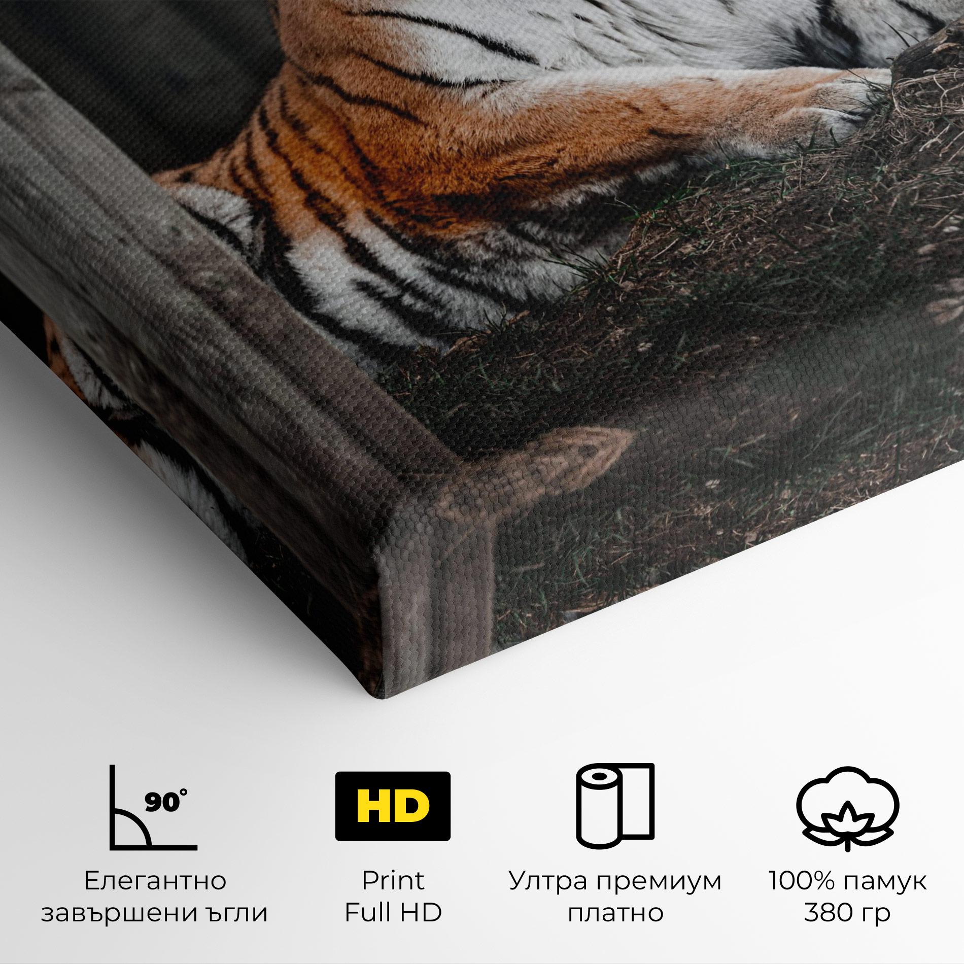 Картина на платно Forest Tiger mockup 4