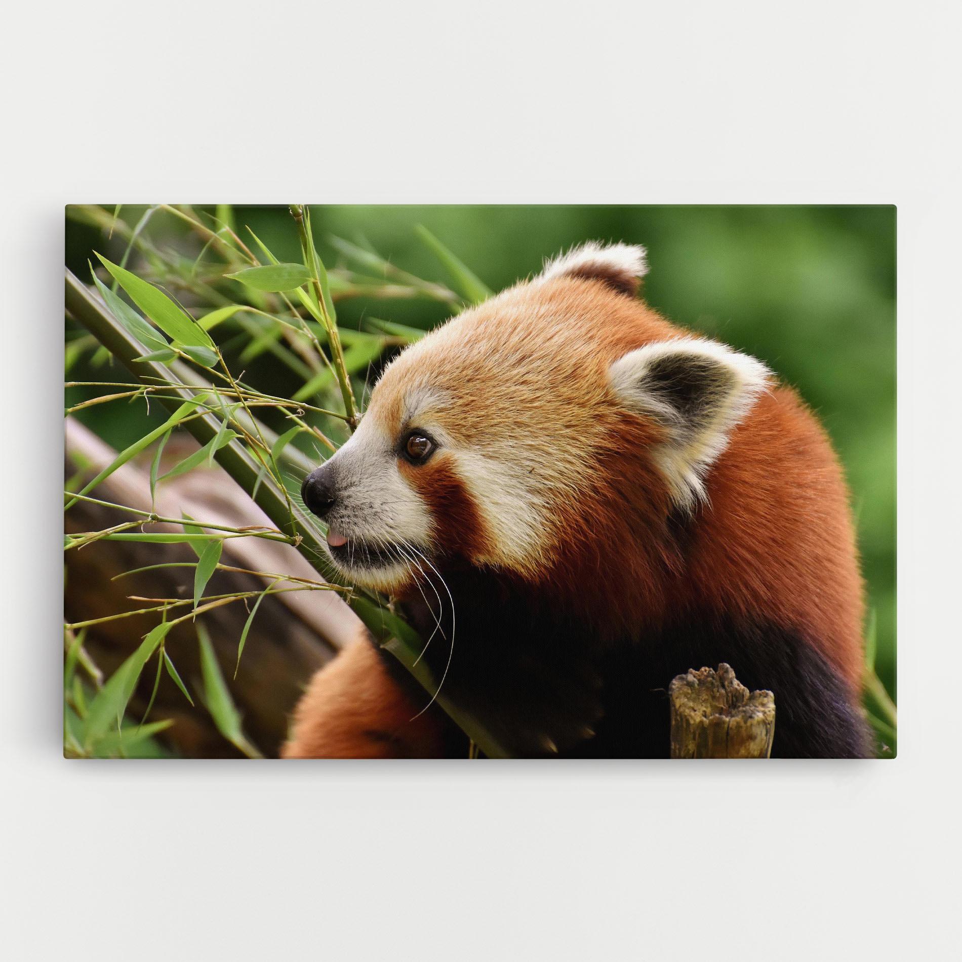 Картина на платно Cute Red Panda mockup 0
