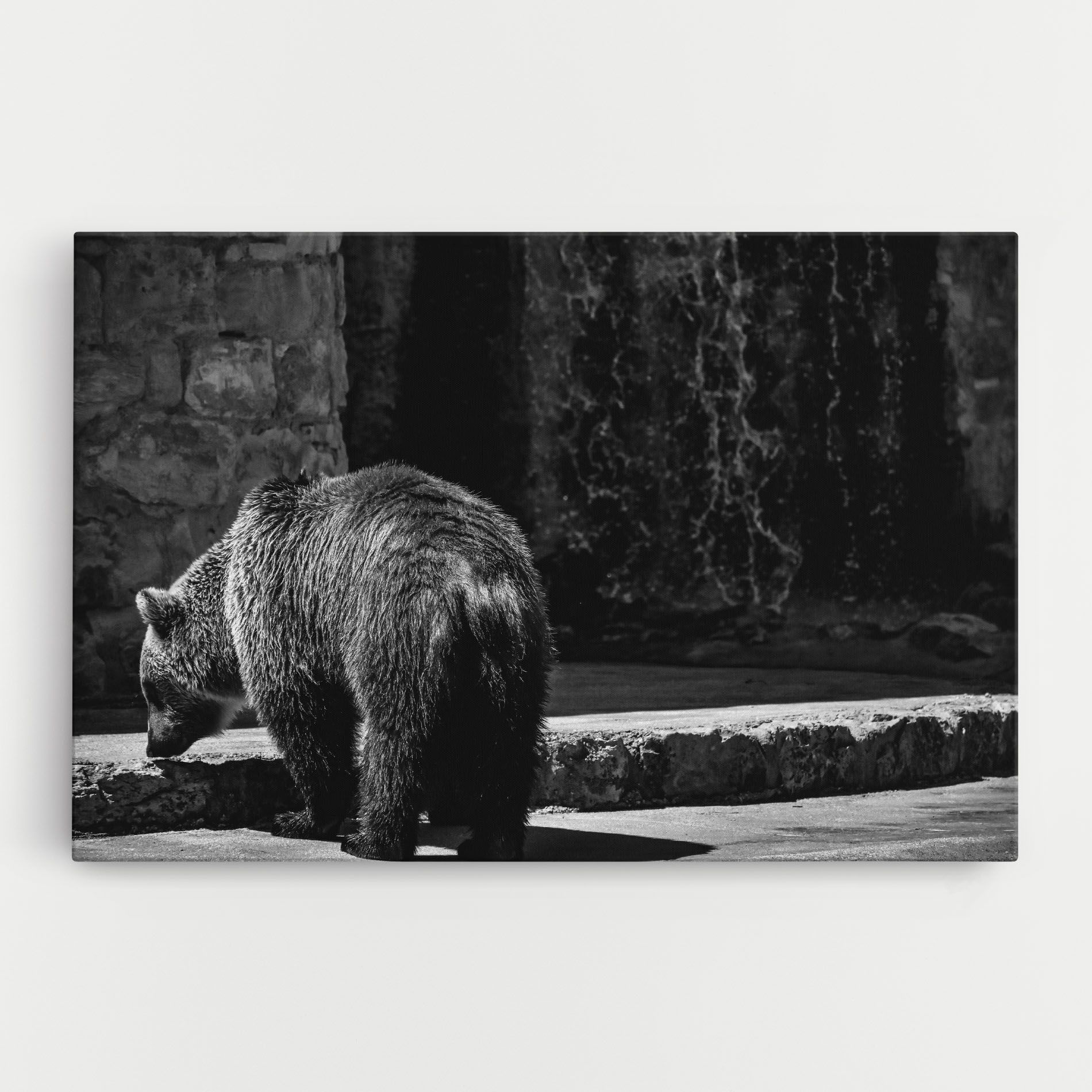 Grey Bear mockup 0