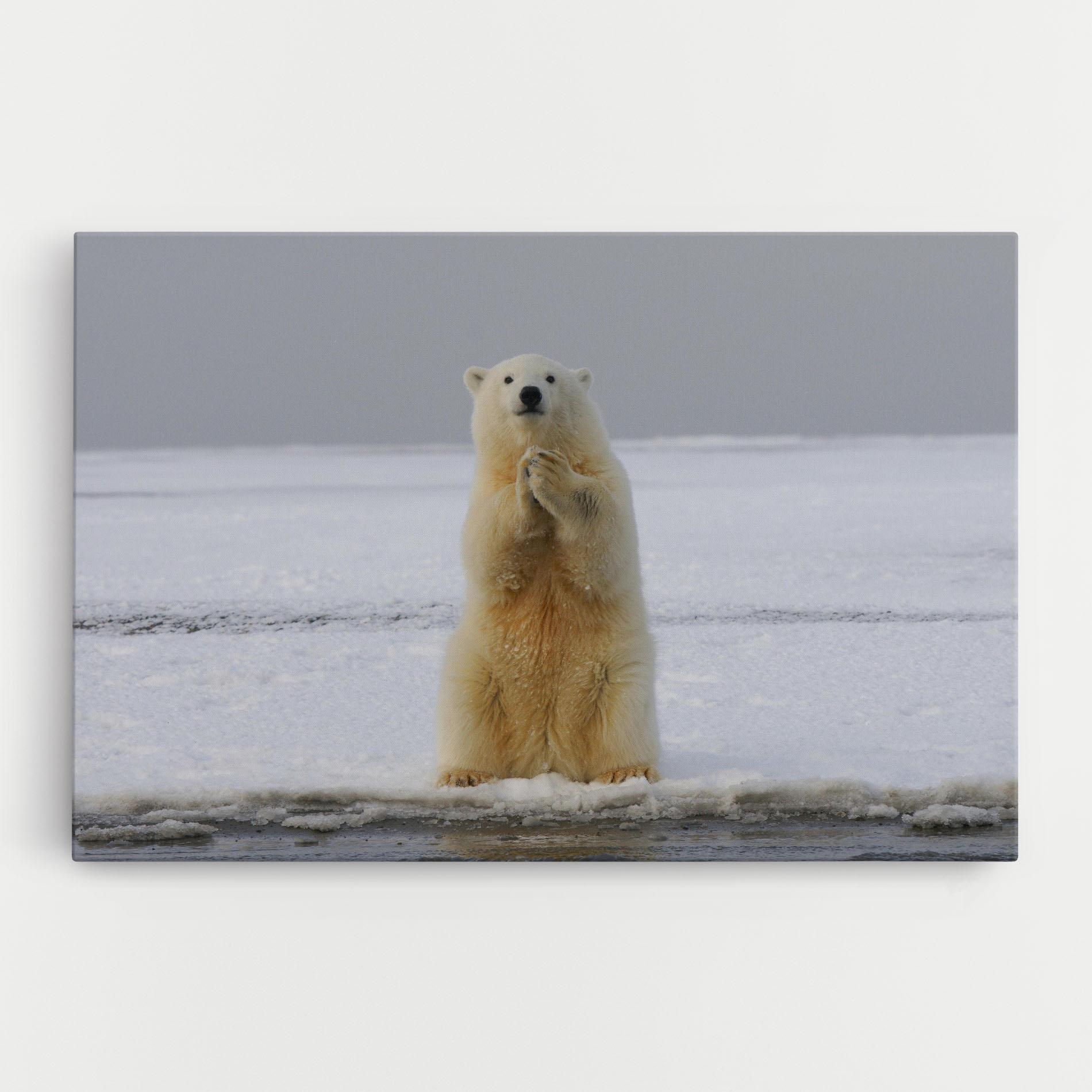 Картина на платно Icebear Praying mockup 0