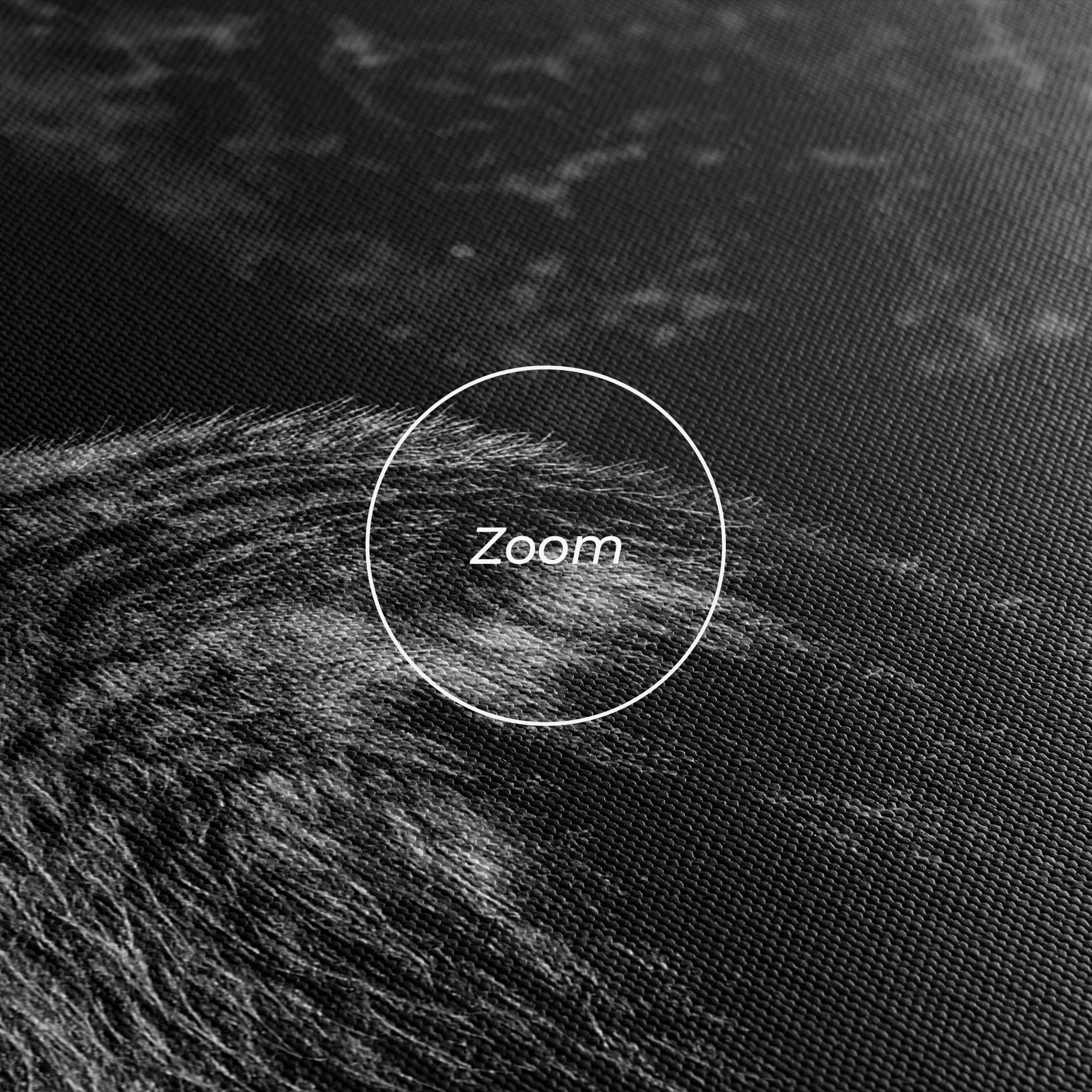 Картина на платно Grey Bear mockup 3