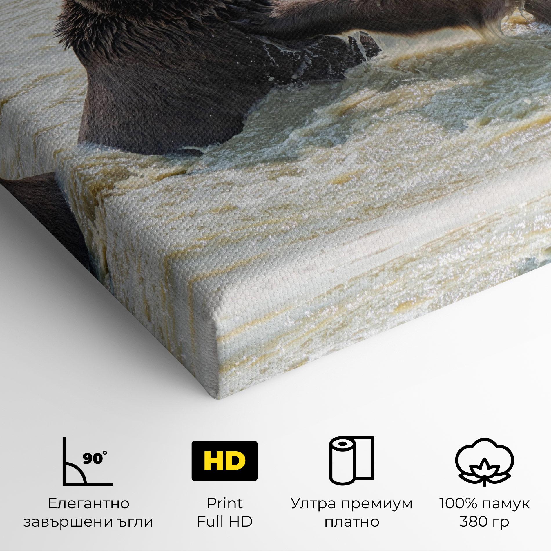 Картина на платно Bears Fighting mockup 4