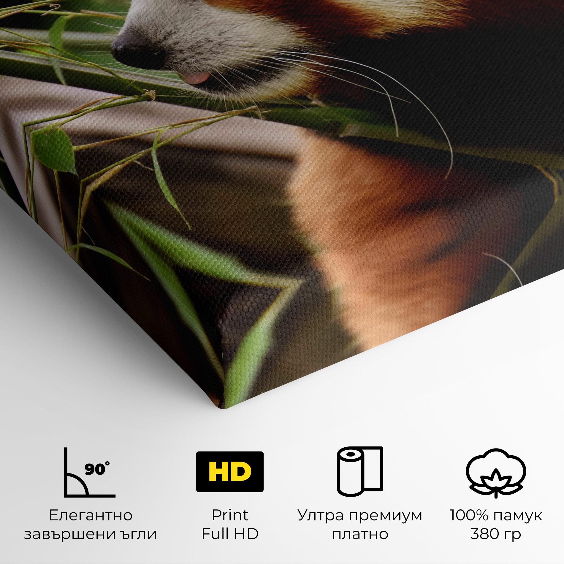 Картина на платно Cute Red Panda mockup 4