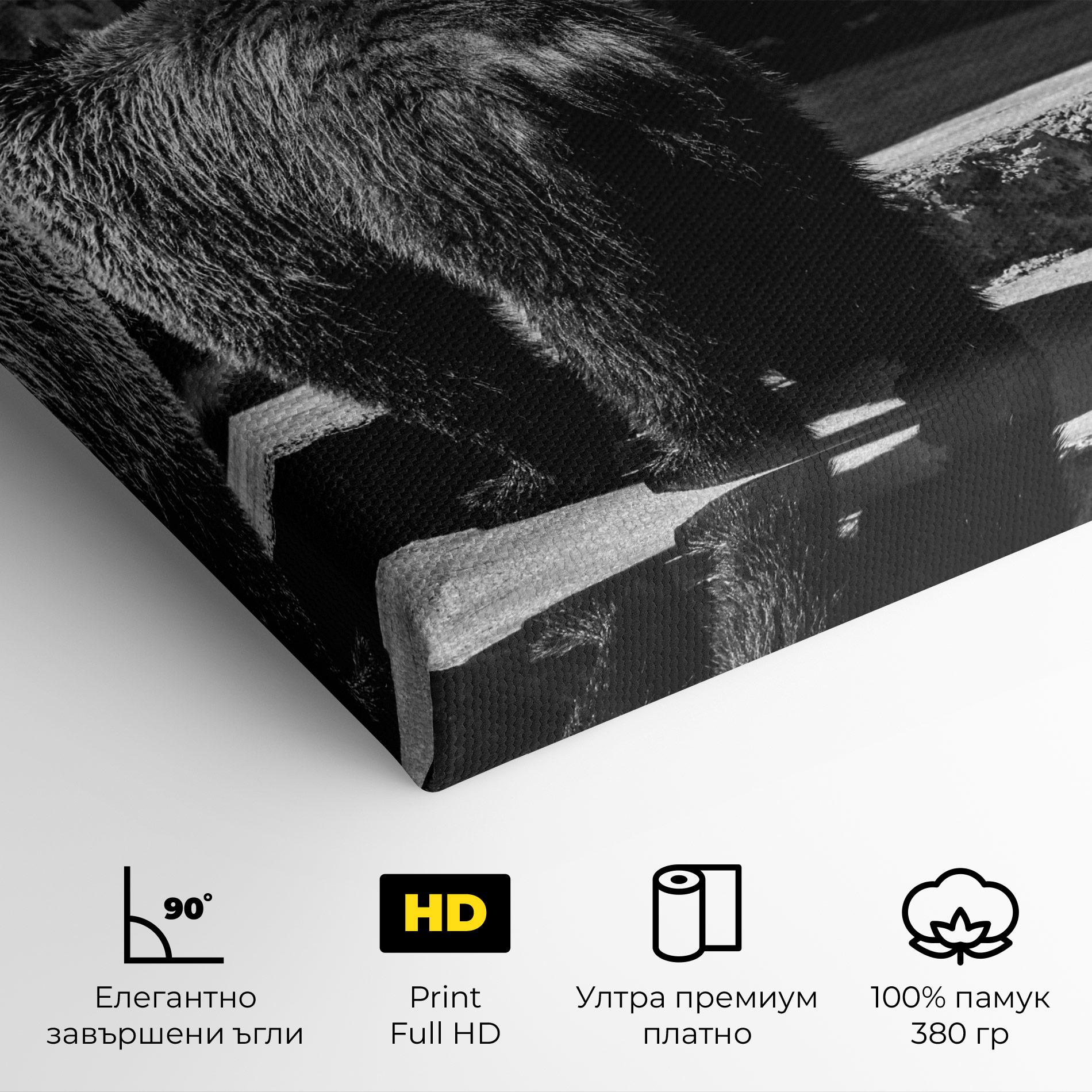 Картина на платно Grey Bear mockup 4