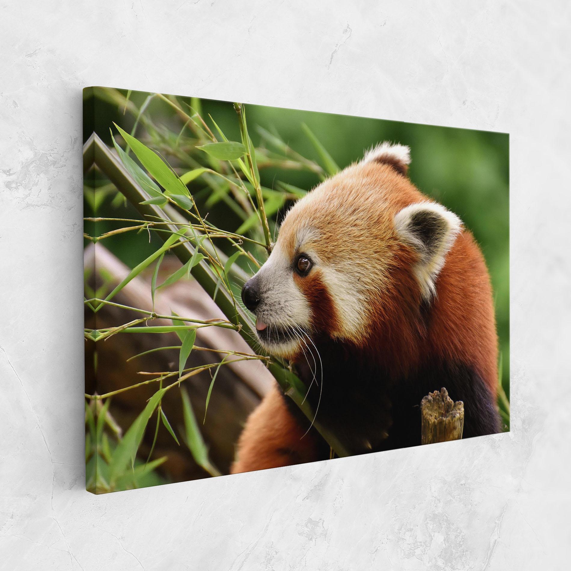 Картина на платно Cute Red Panda mockup 1