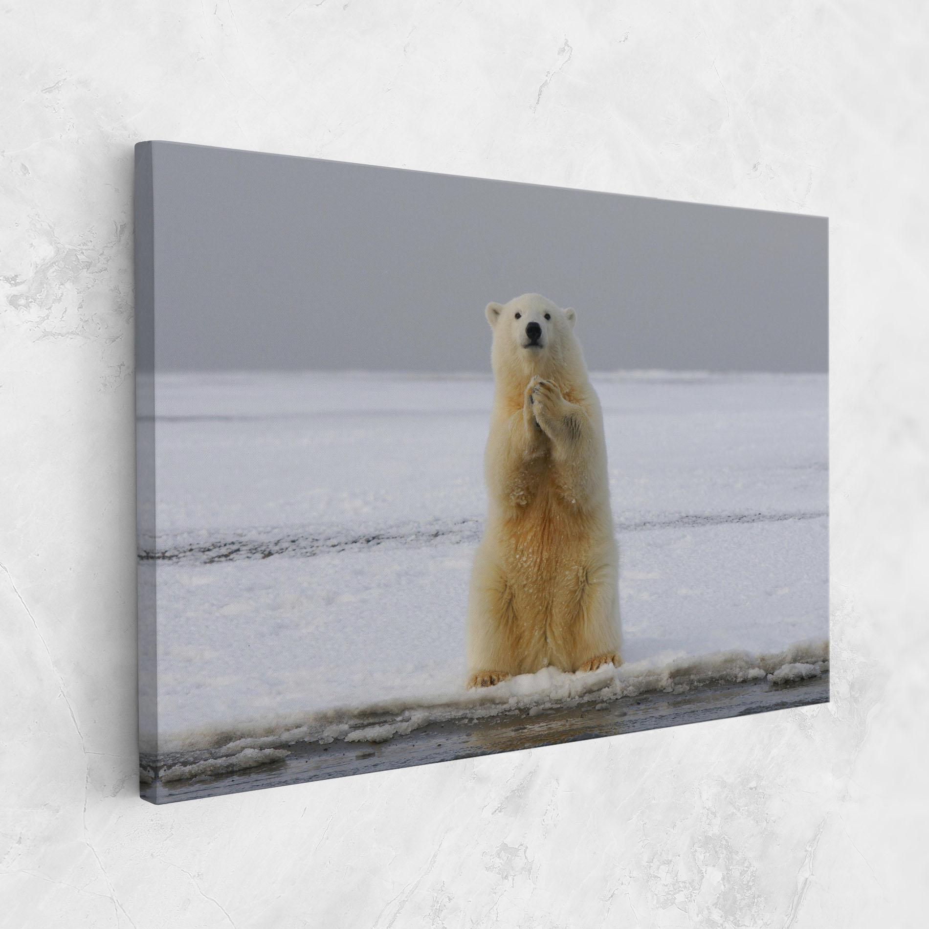 Картина на платно Icebear Praying mockup 1