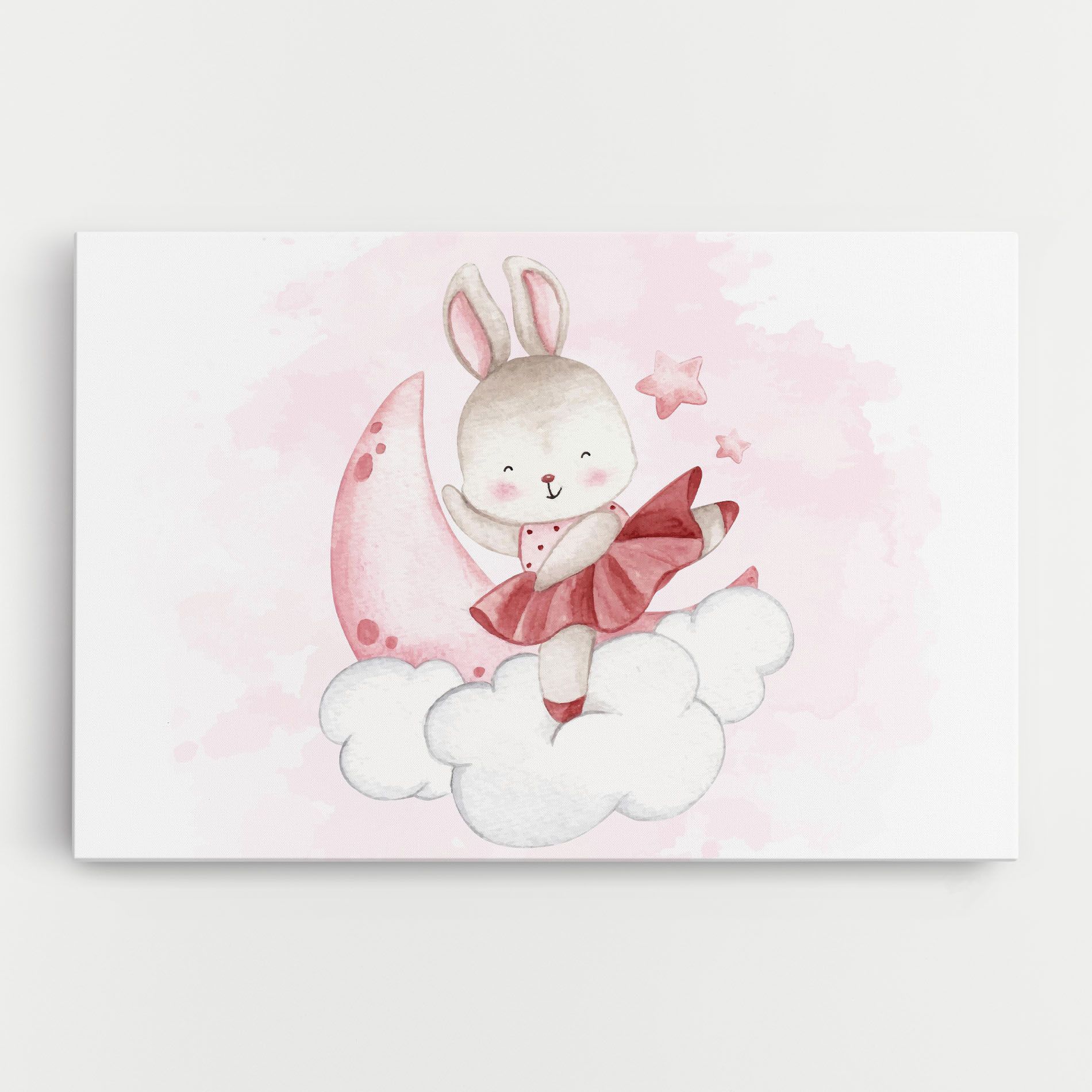 Ballerina Rabbit mockup 0